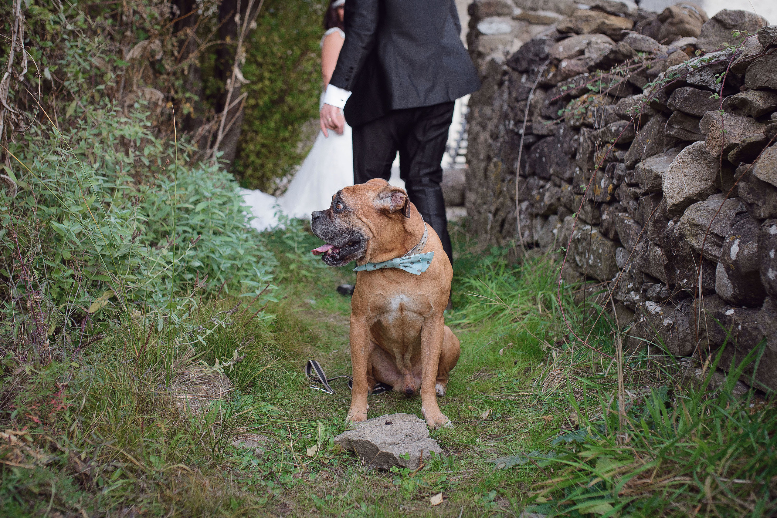 Postboda Arguis - Huesca / Maria y Jose / Fotografo bodas Huesca. PIXLOVE - Fotógrafos de bodas Huesca Pirineos Zaragoza