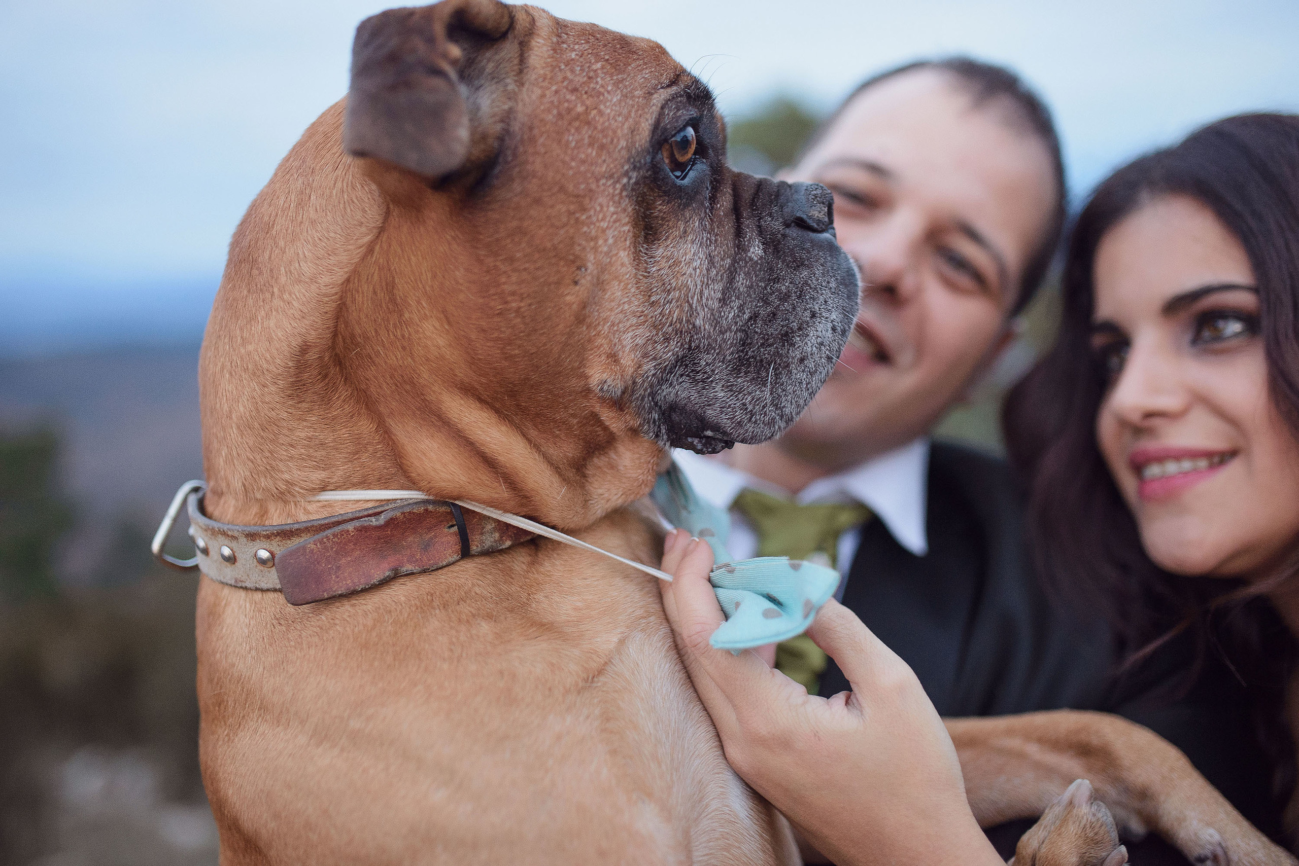 Postboda Arguis - Huesca / Maria y Jose / Fotografo bodas Huesca. PIXLOVE - Fotógrafos de bodas Huesca Pirineos Zaragoza