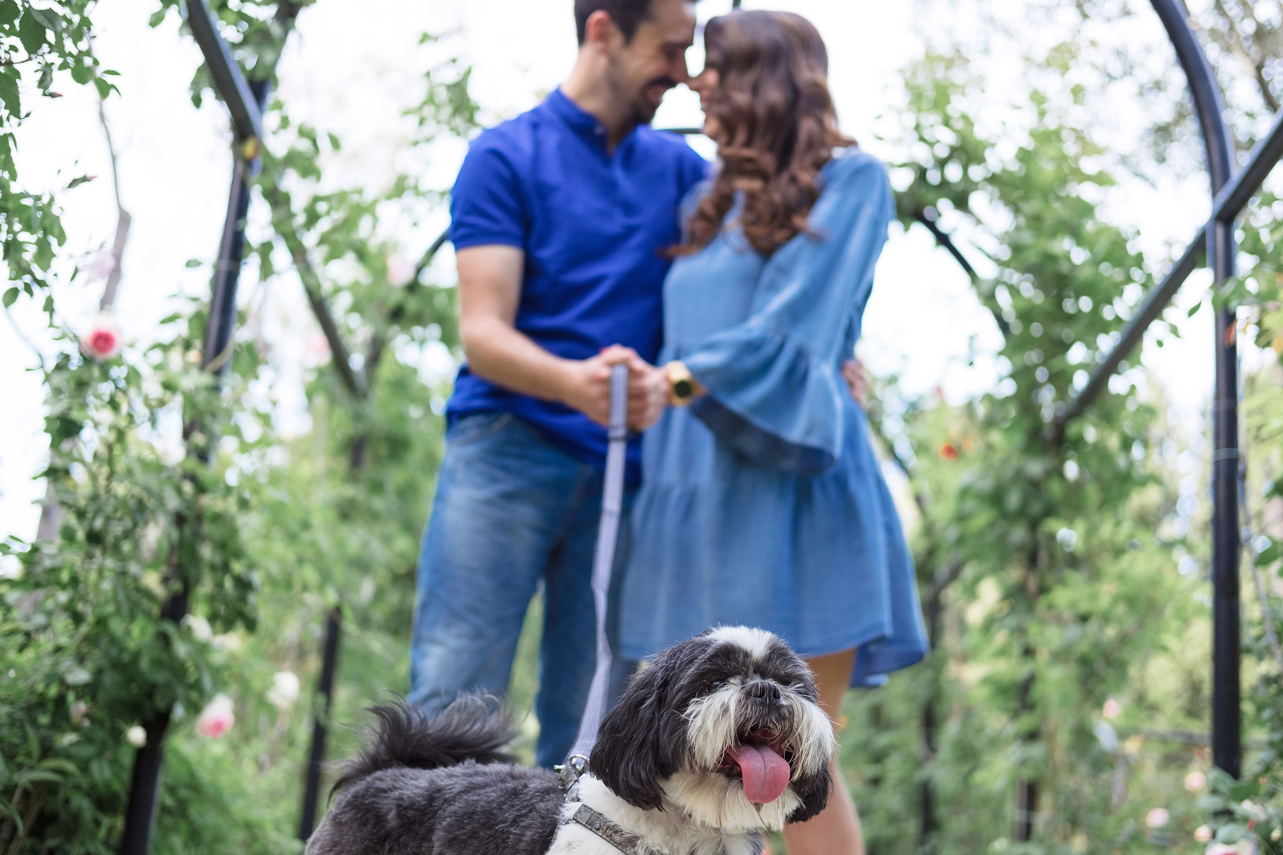 Preboda Parque Grande José Antonio Labordeta / Fotografo Zaragoza. PIXLOVE - Fotógrafos de bodas Huesca Pirineos Zaragoza