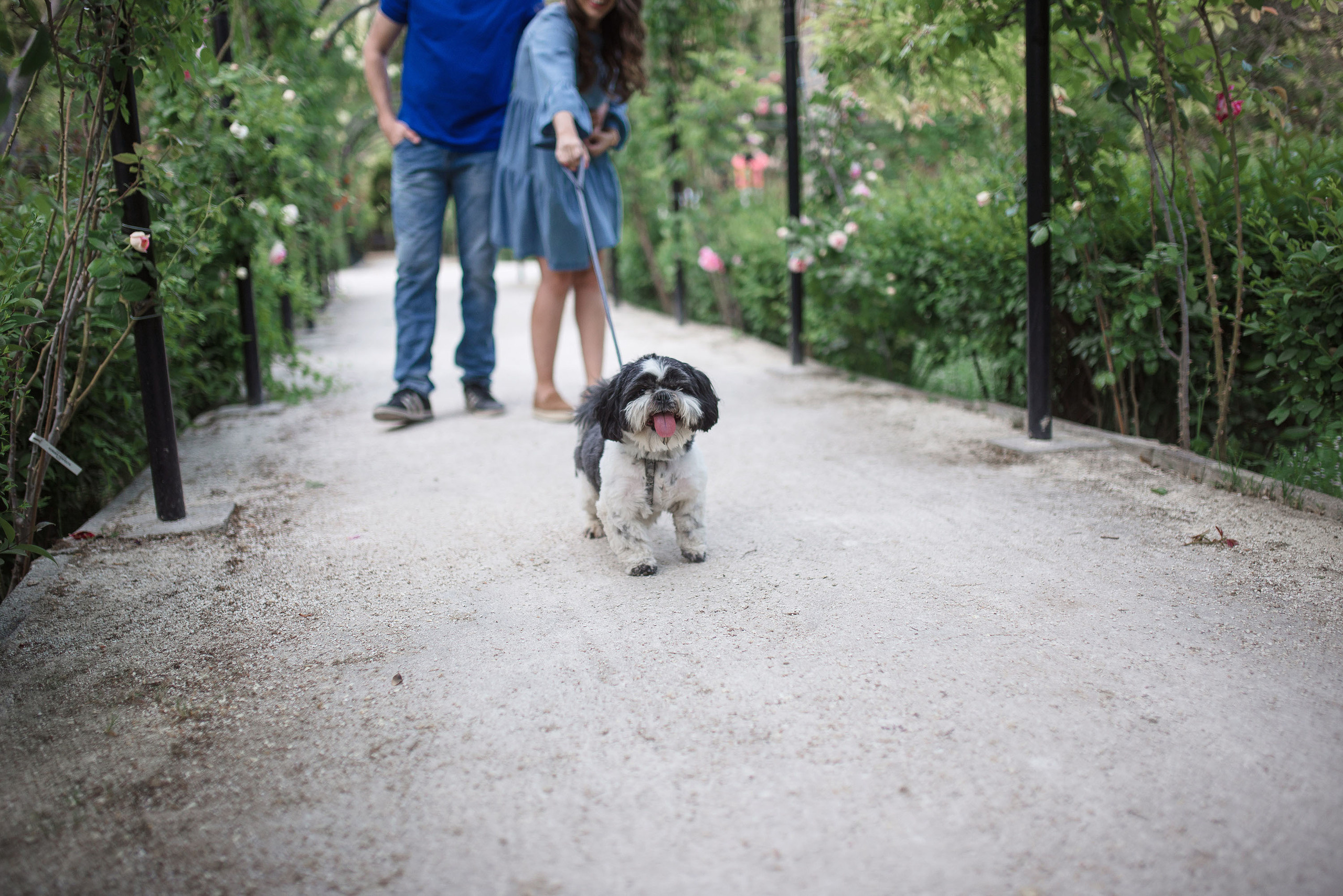 Preboda Parque Grande José Antonio Labordeta / Fotografo Zaragoza. PIXLOVE - Fotógrafos de bodas Huesca Pirineos Zaragoza