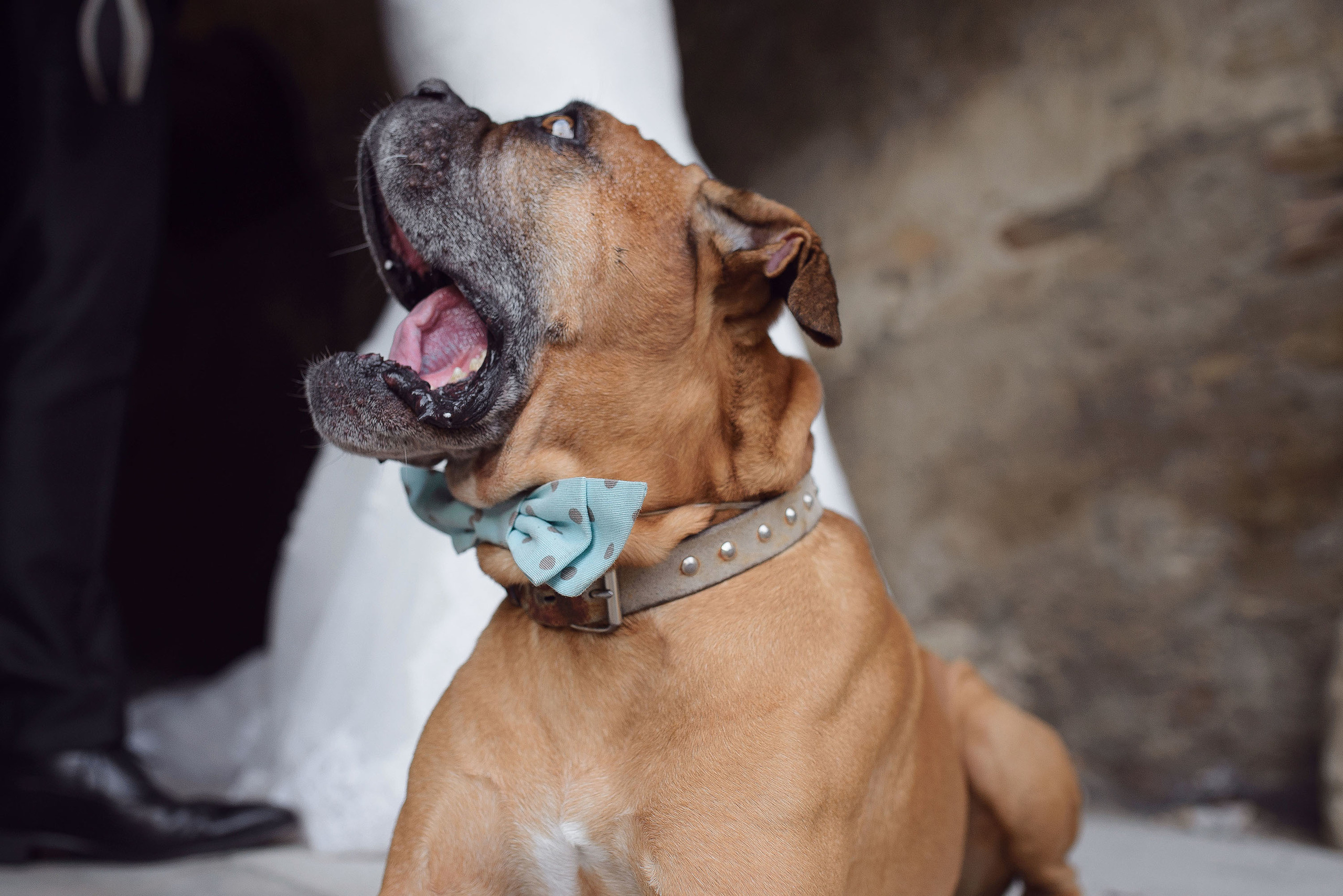 Postboda Arguis - Huesca / Maria y Jose / Fotografo bodas Huesca. PIXLOVE - Fotógrafos de bodas Huesca Pirineos Zaragoza