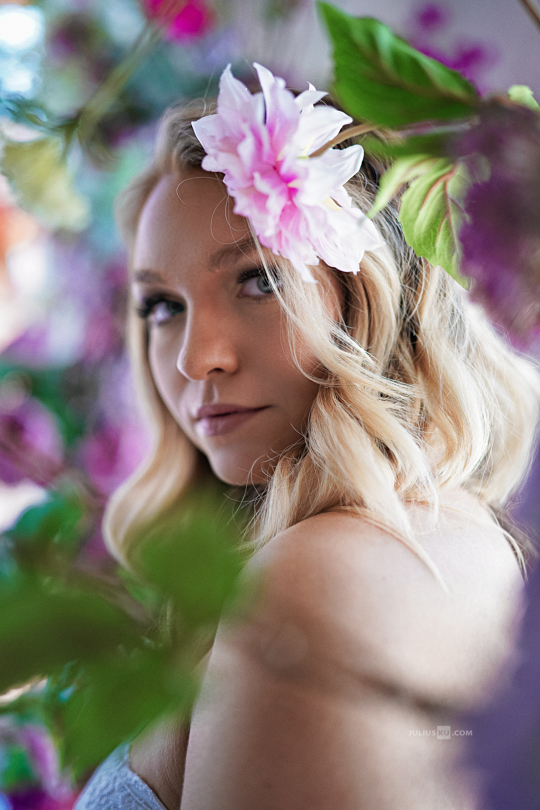 Family / Wedding / Quinceañeras. Main