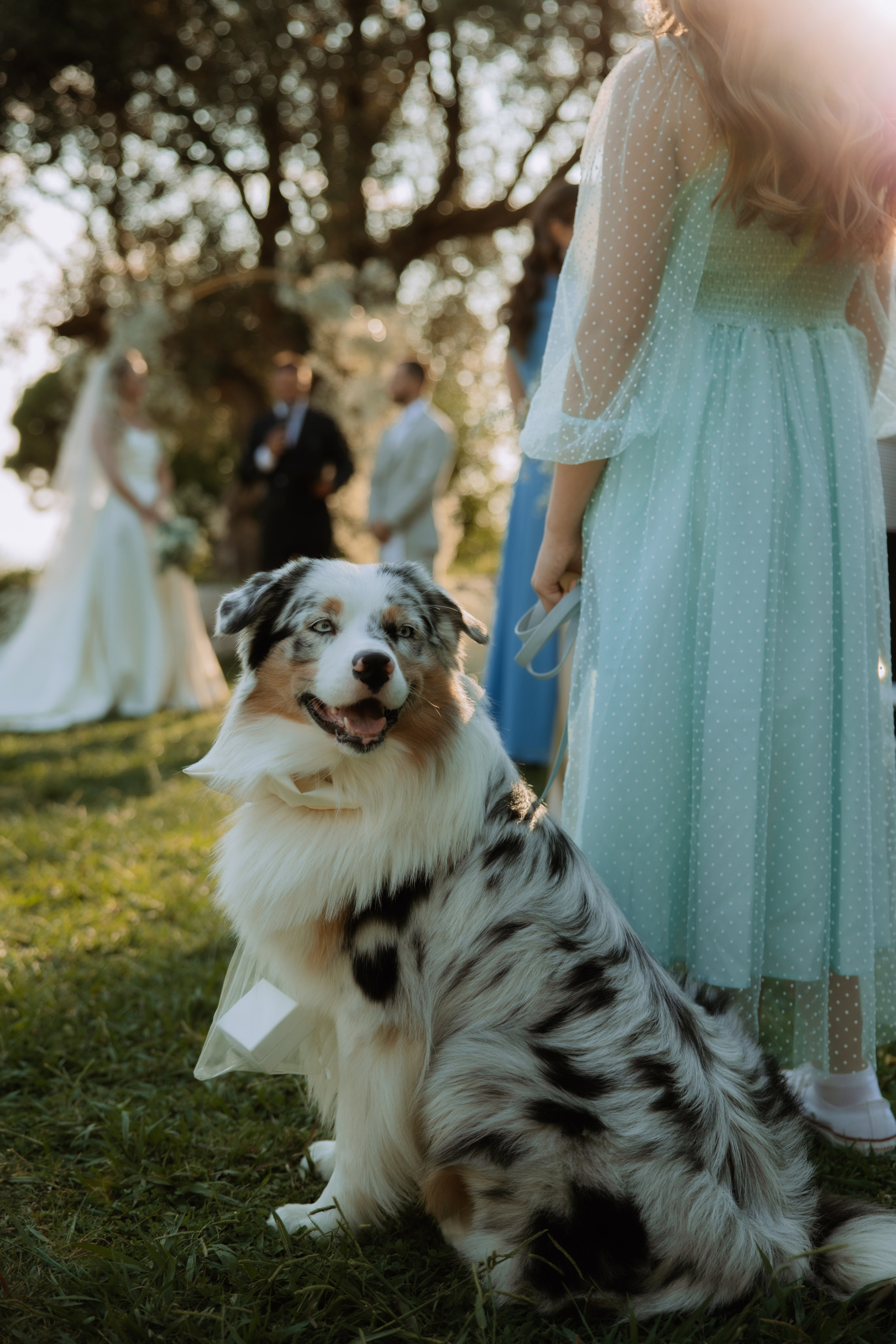 Justyna ir Paulius | 2023 | MONTENEGRO. Vestuvių ir šeimų fotografė Lena Bondarenko / belove photo