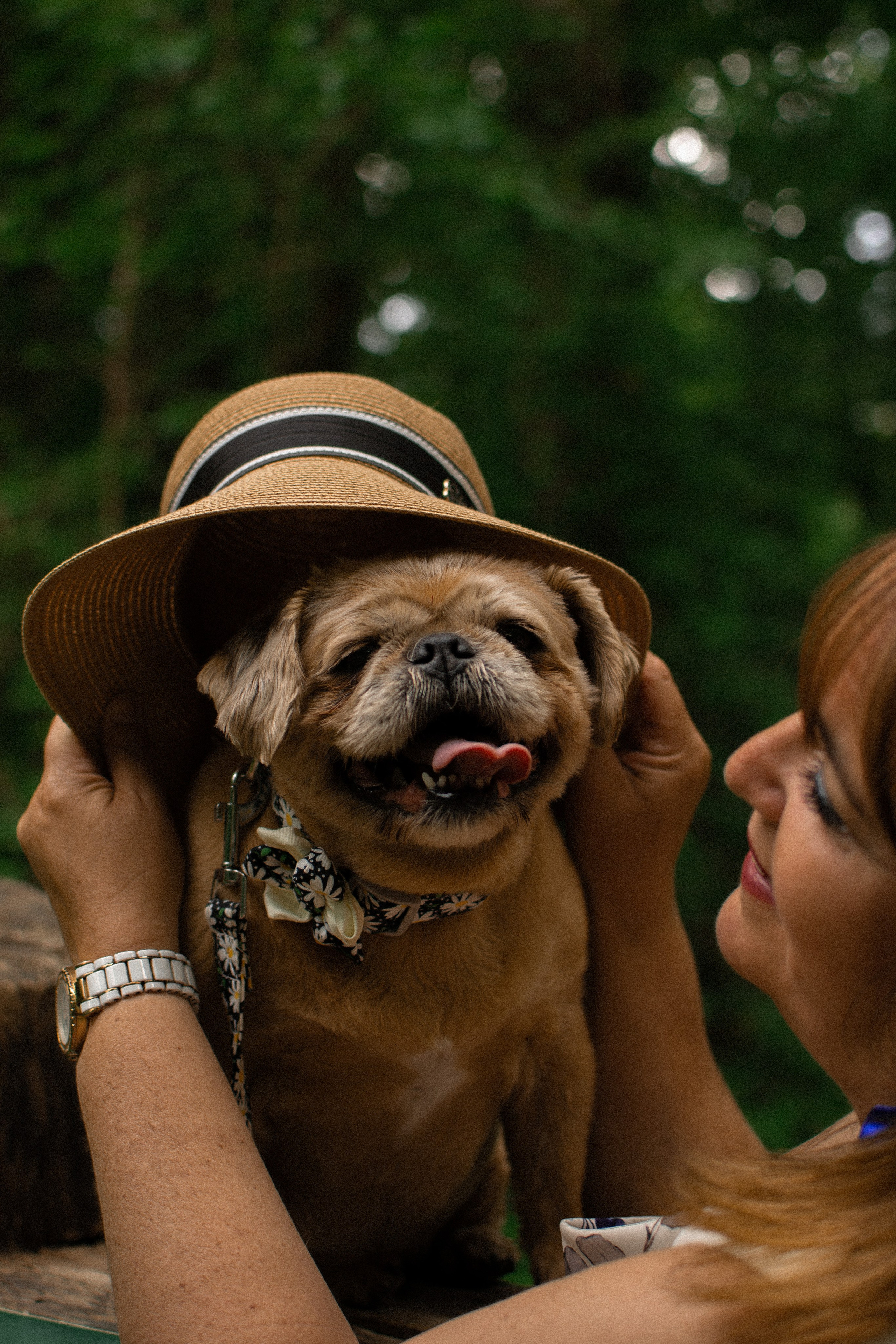 Sandrine et Lolly. Photographe animalier à Paris Anna Pereira