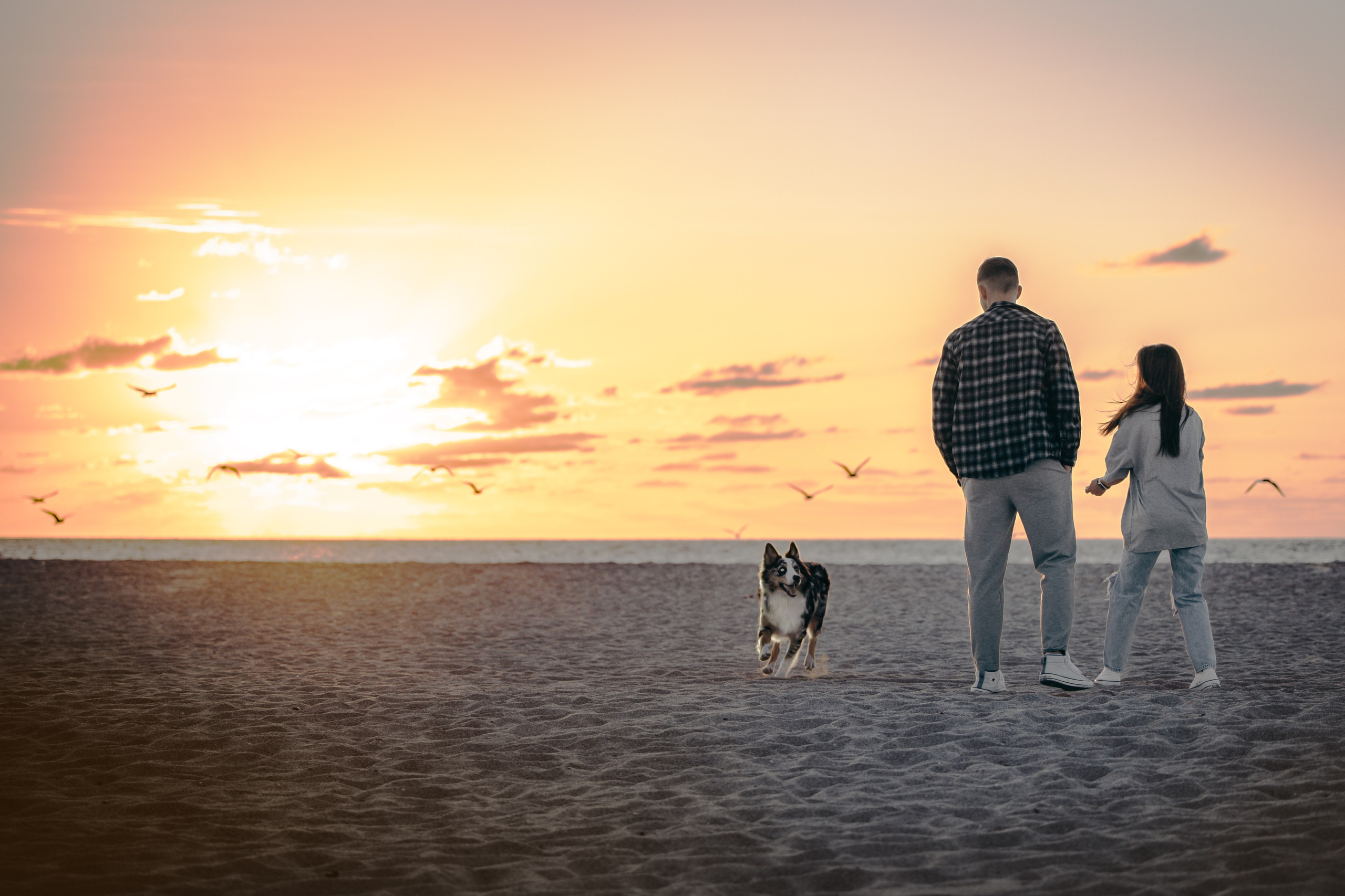 Gru, Marta & Vladimir. Pet Photographer Viktoriya Aleshenko