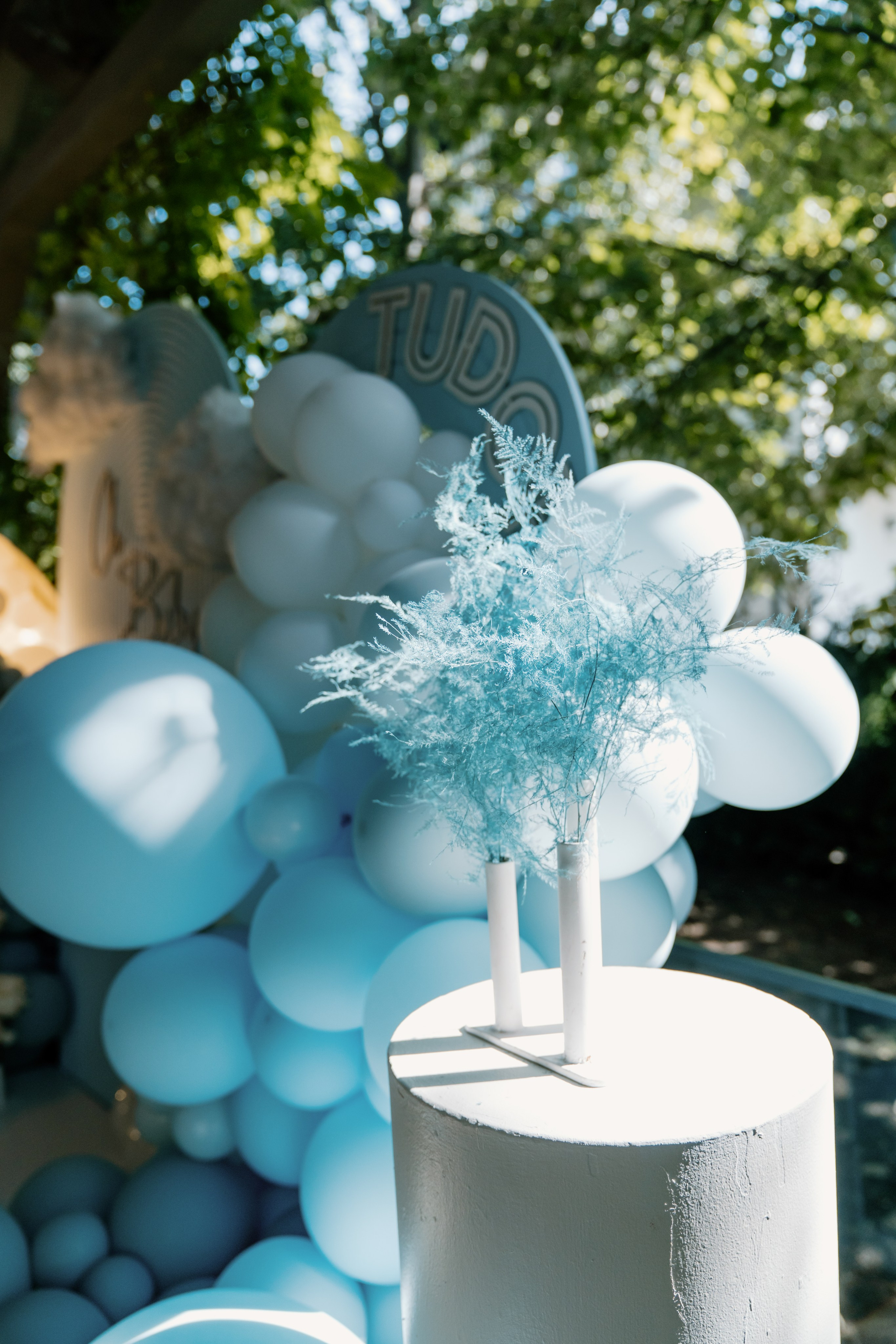 Baby Tudor. Gabrielacojocariu.com