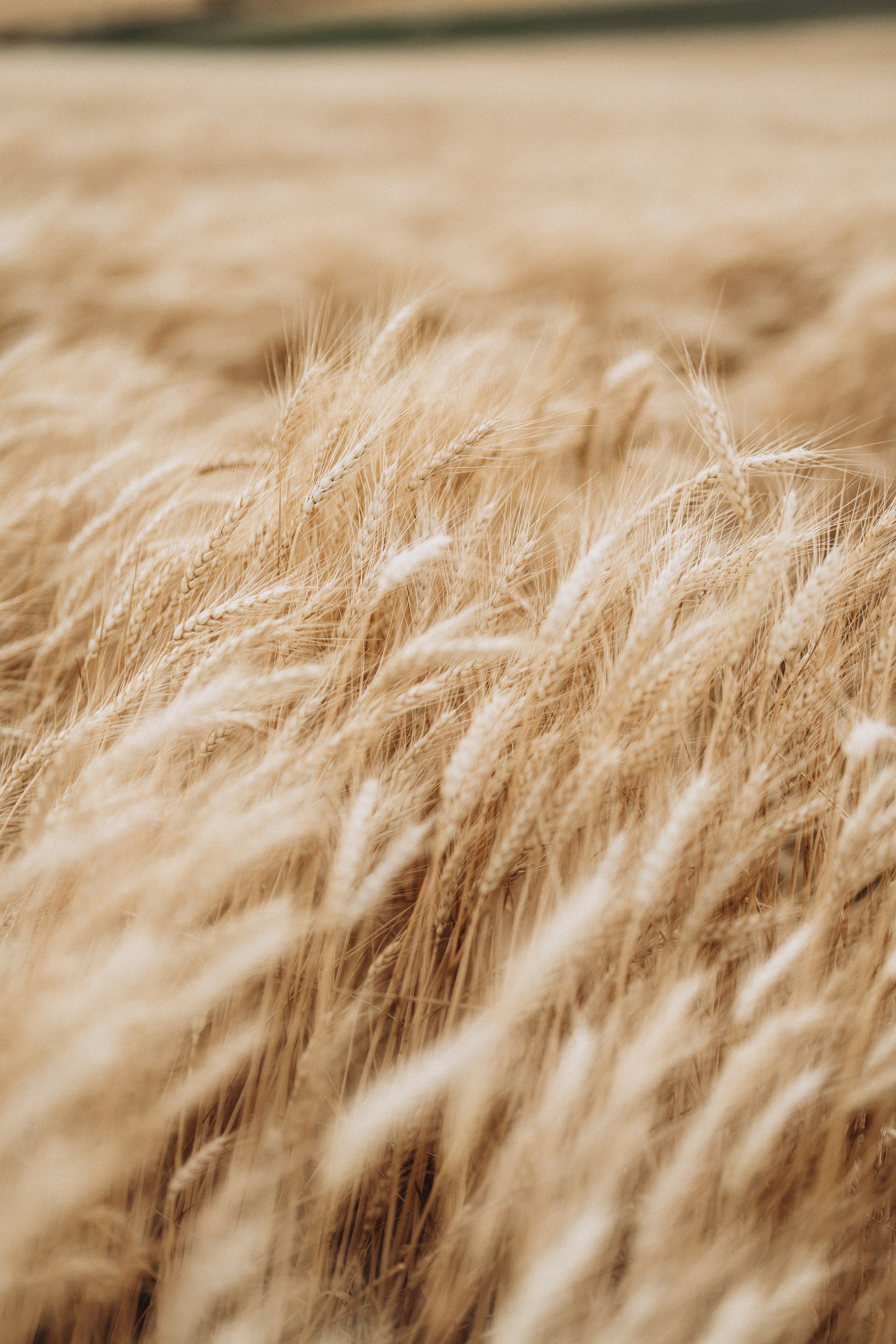 LOVE. Familien, Lifestyle und Portrait Fotografin in Trier, Luxembourg