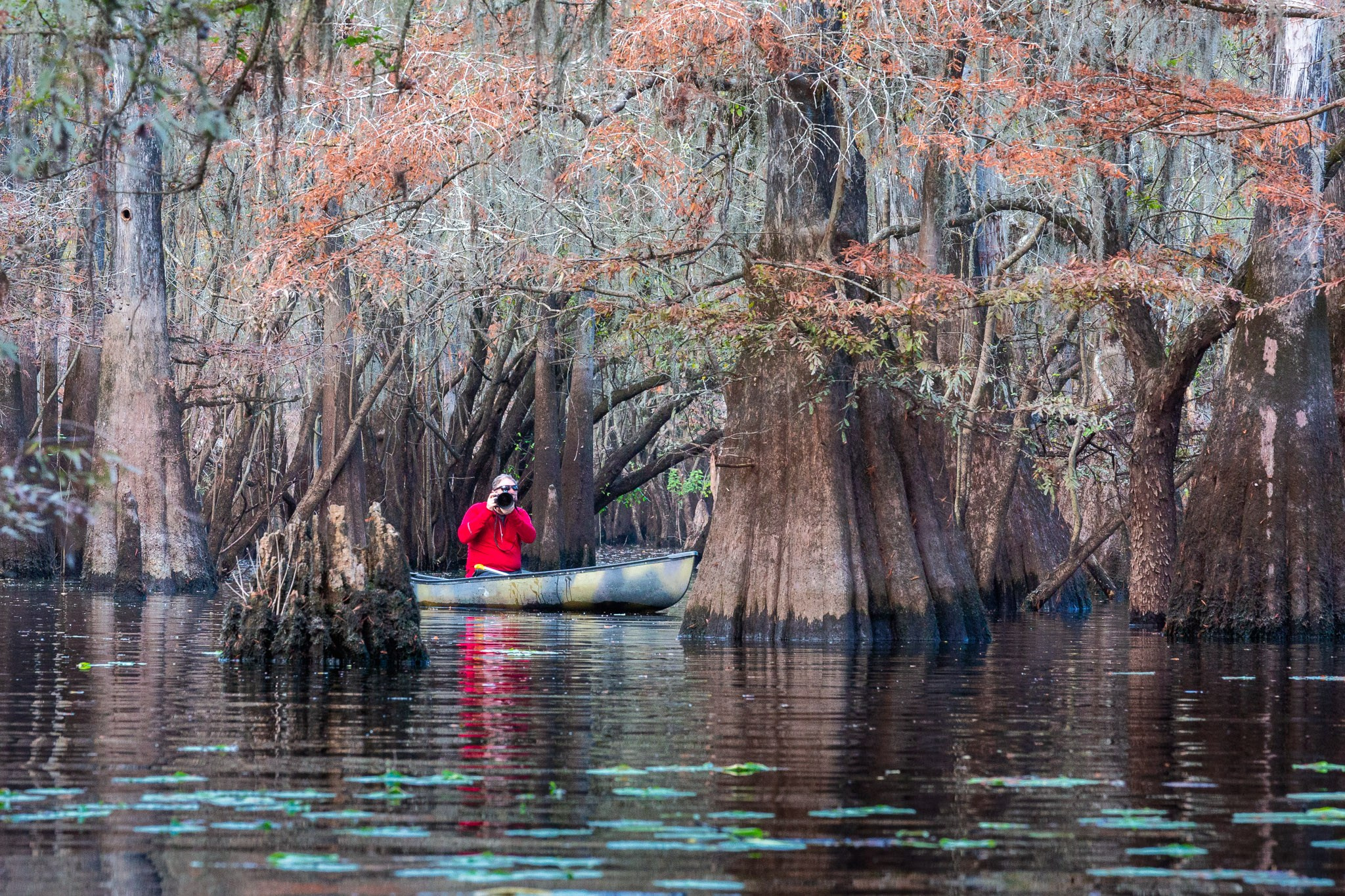 Exploring True Florida: Springs, Rivers & Manatees by Canoe. Pet, Senior, Landscape, portrait studio, photographer in Miami and Sou