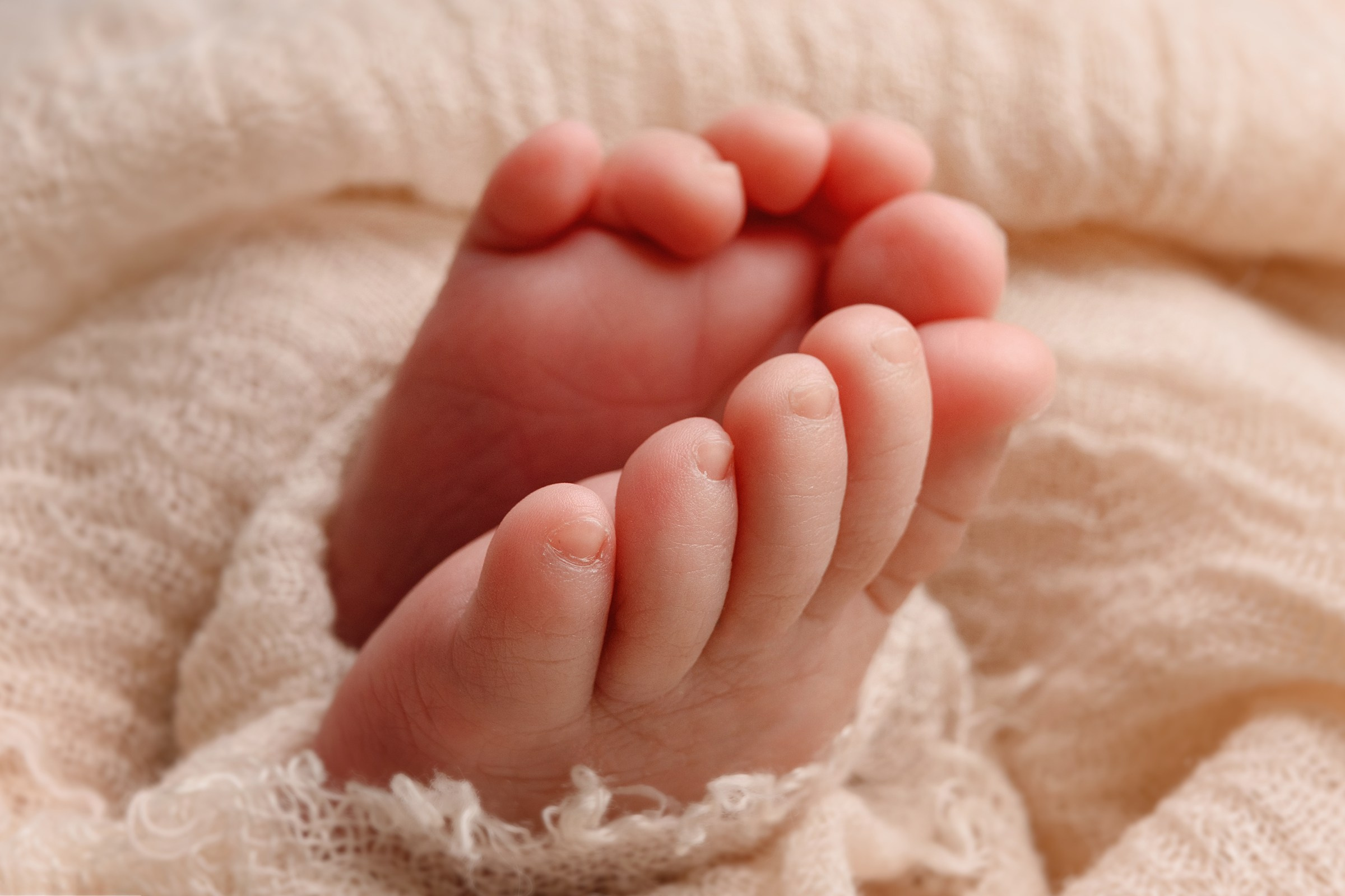 Baby Fotograf Berlin