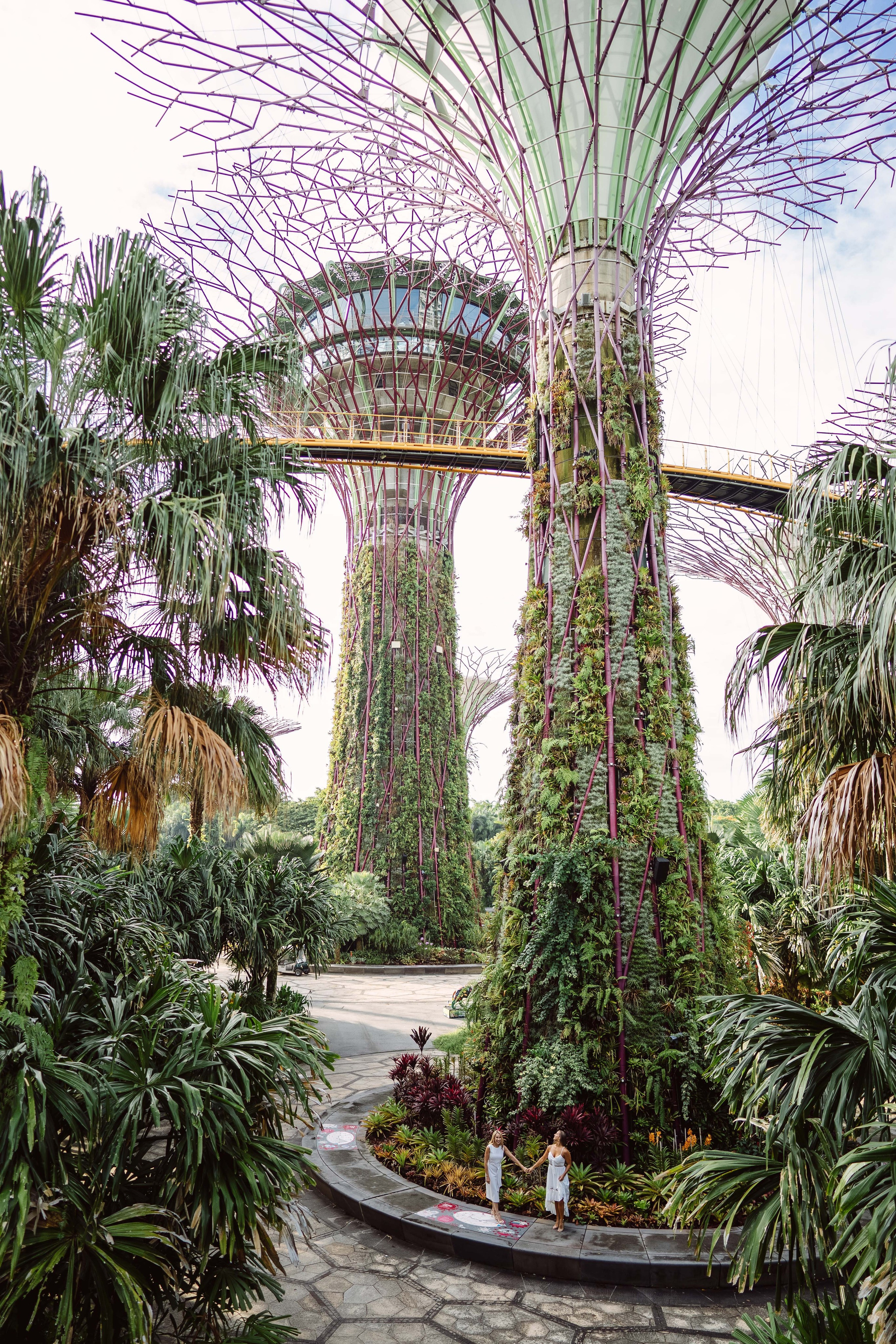 Family. Dasha in Singapore