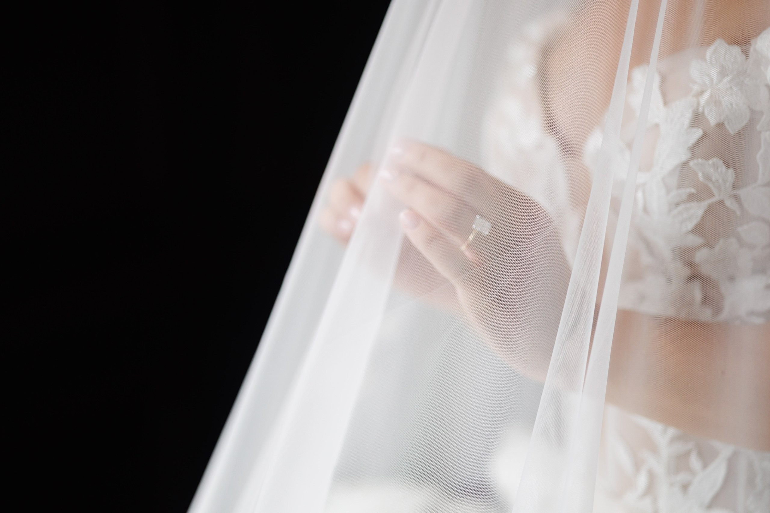 Arianeh & Michael, Park Chateau. Wedding Photo & Video