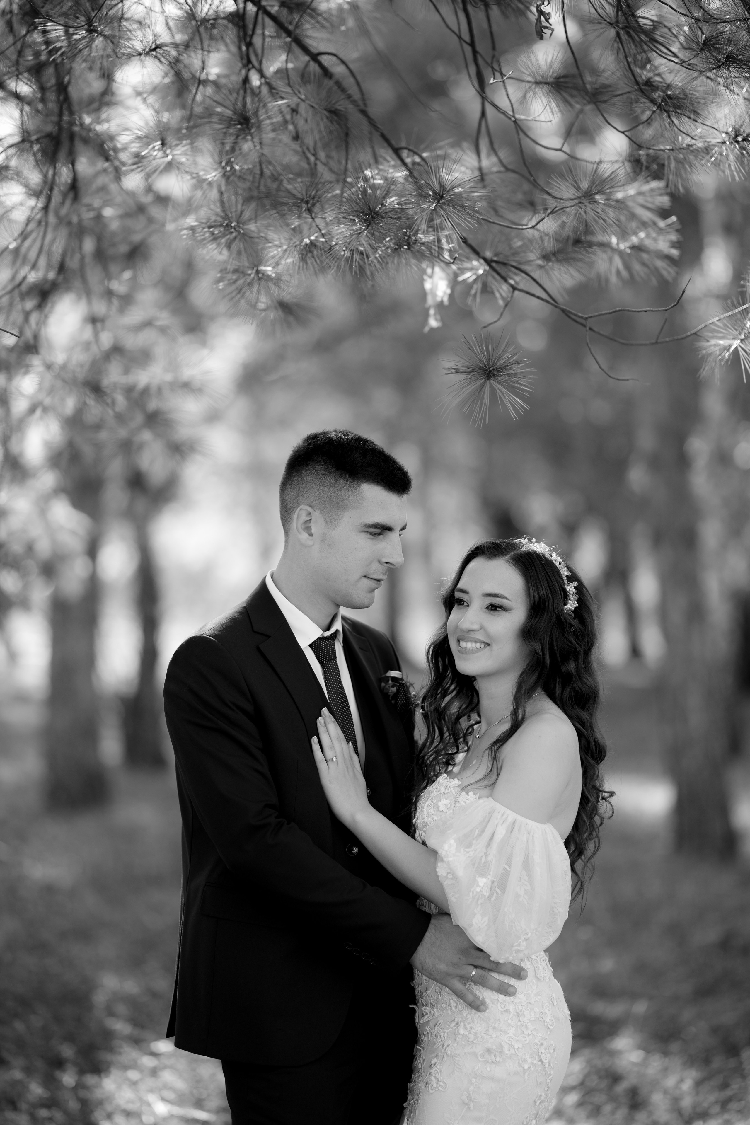 Nikola & Biljana. NSJ — Wedding Studio