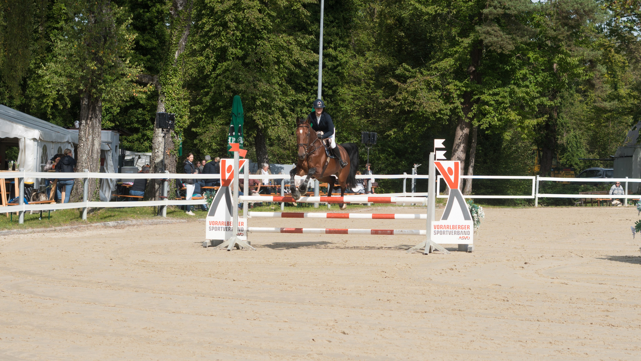 Equestrian Competition