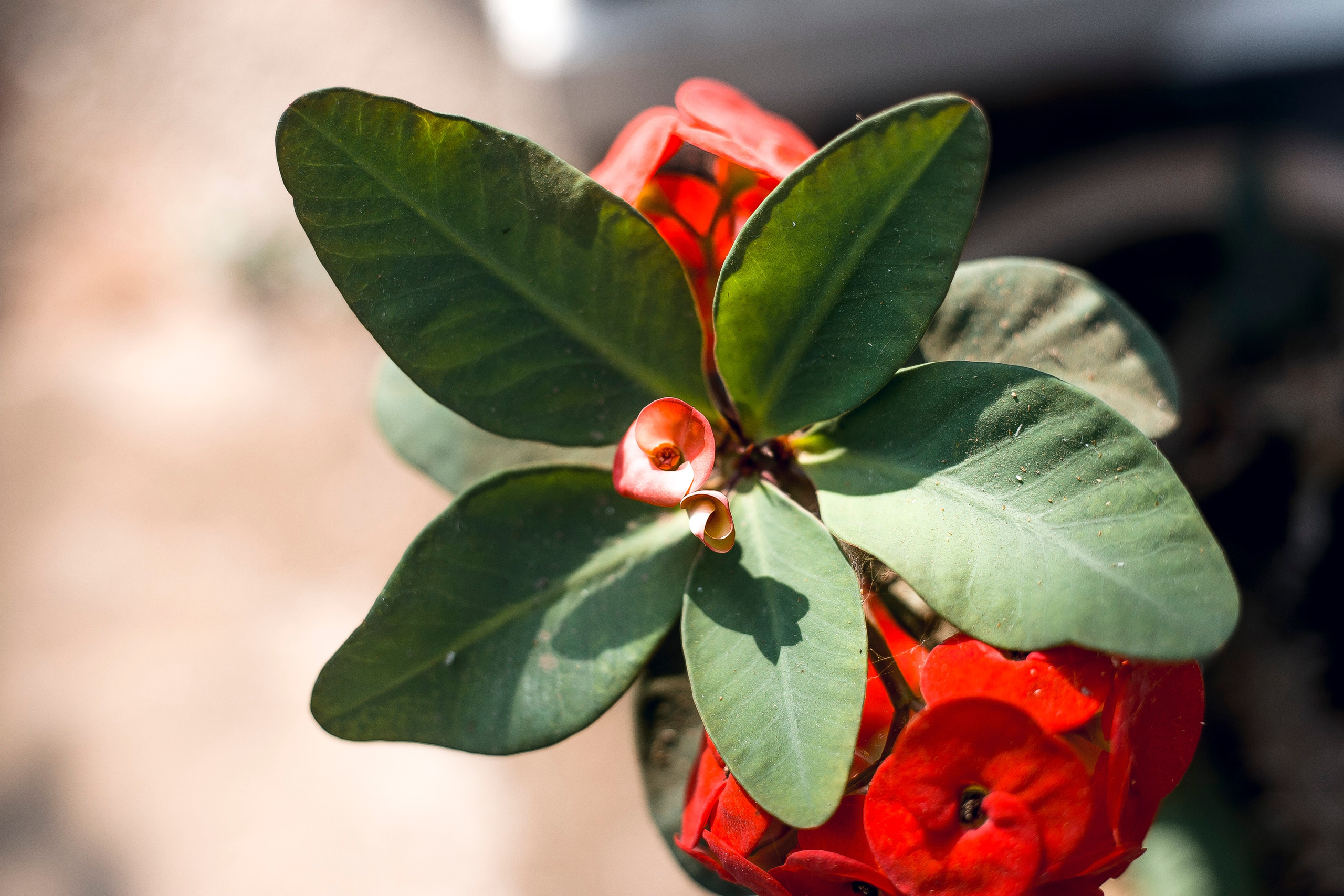 Andaman Island, part 1. Art Photographer