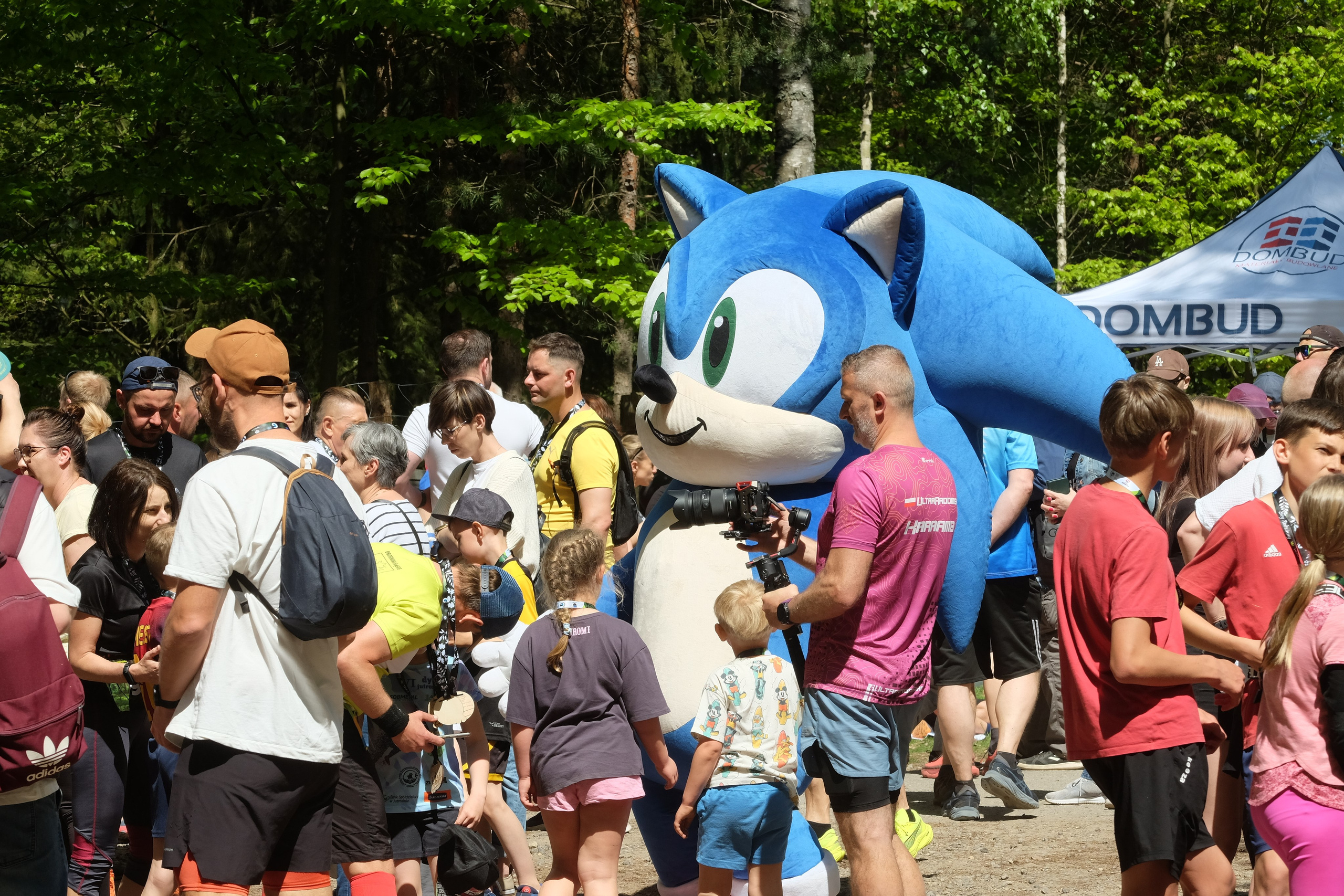 Aleksandryjska Piątka po lesie. Main