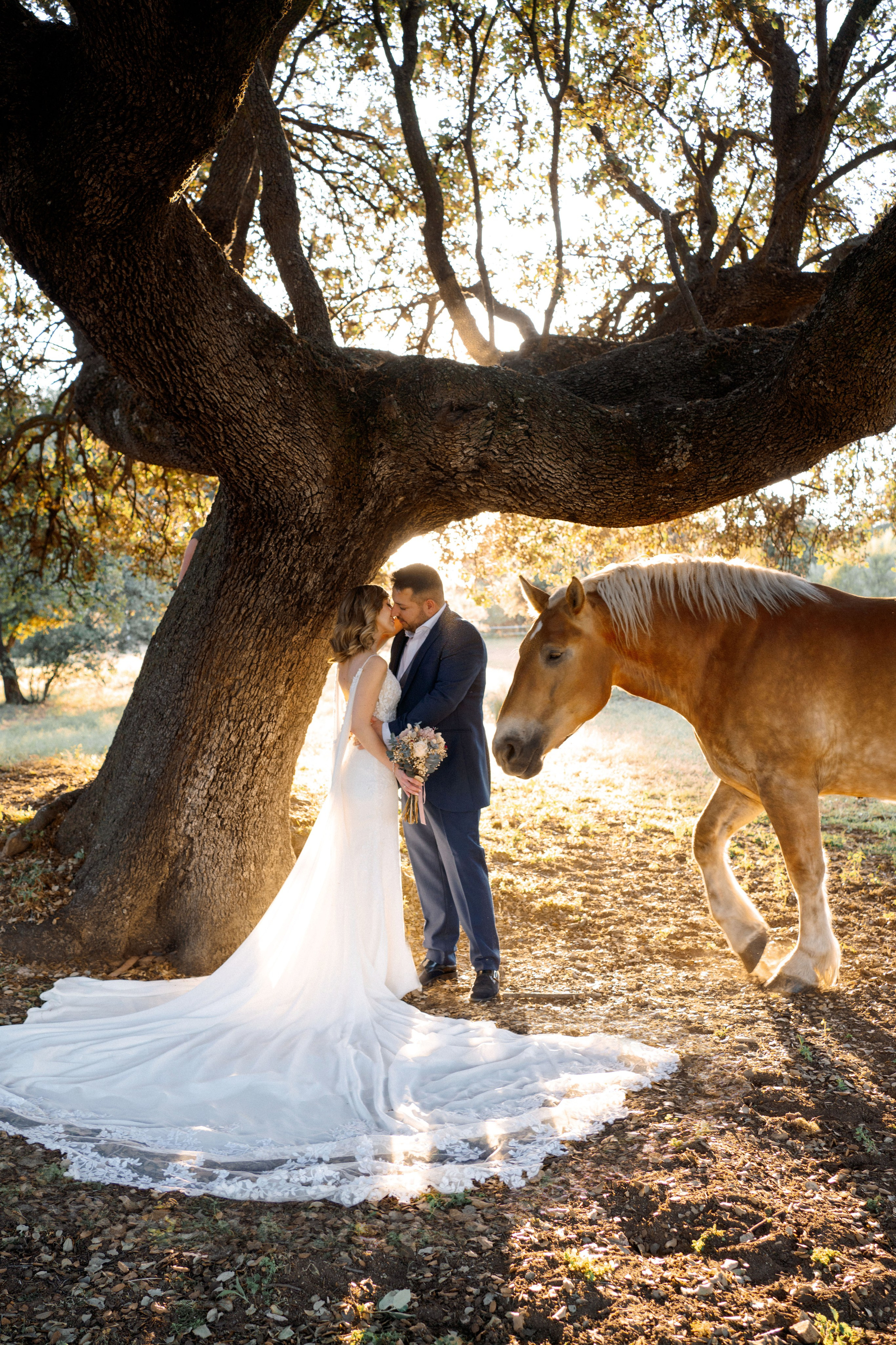 Конная фотосессия. Женские портреты в Мадриде — естественная красота и свет | Anna Maruleva