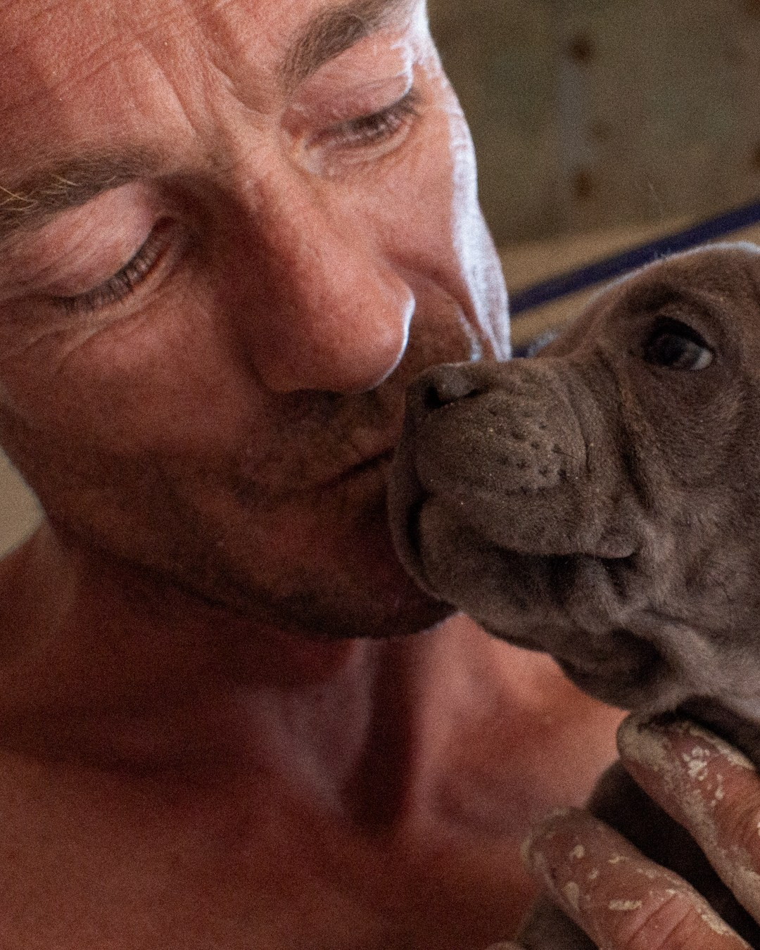 Film Grain Co. Volume 1