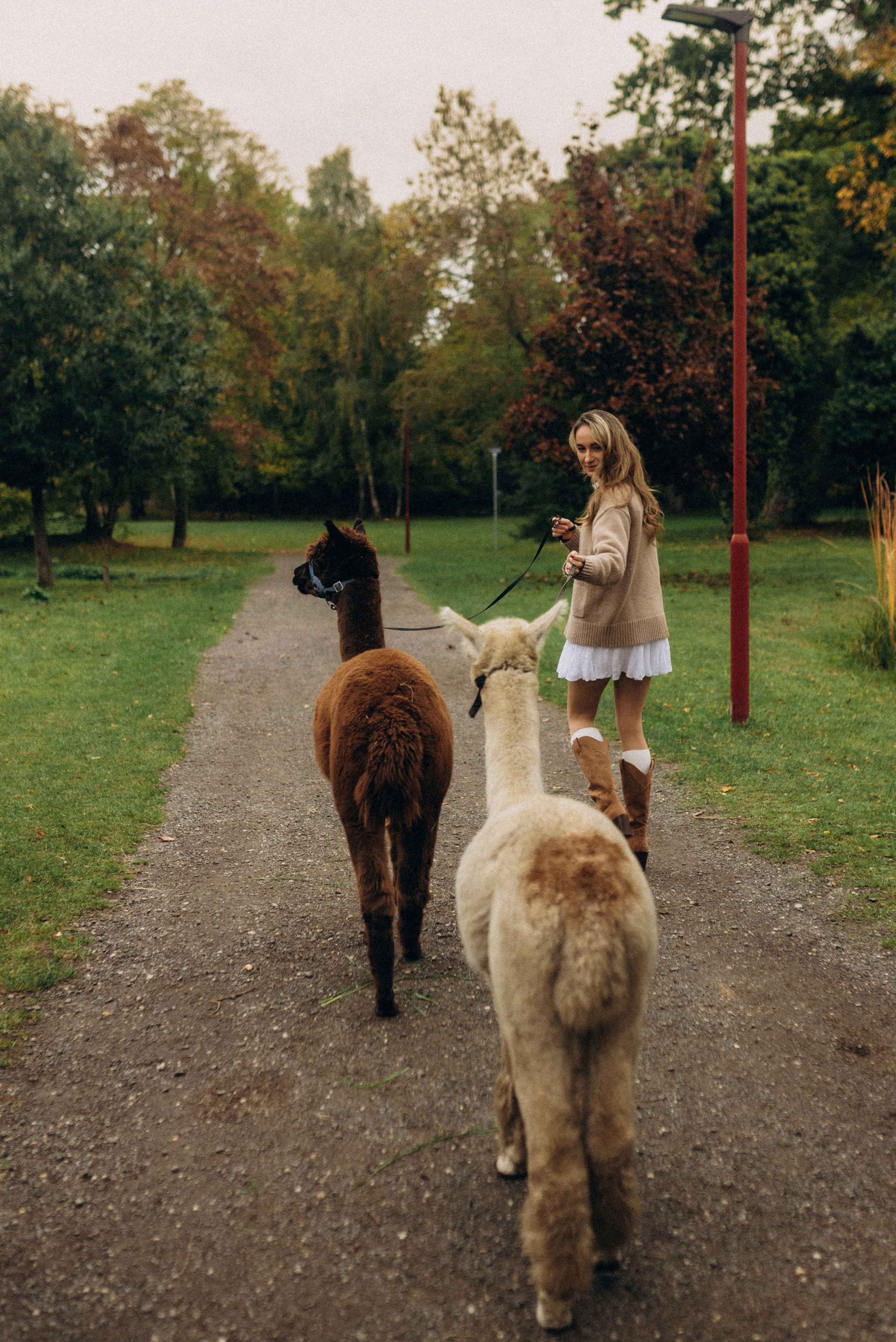 Семейная фотосессия с альпаками. Семейный фотограф Лейпциг, Германия
