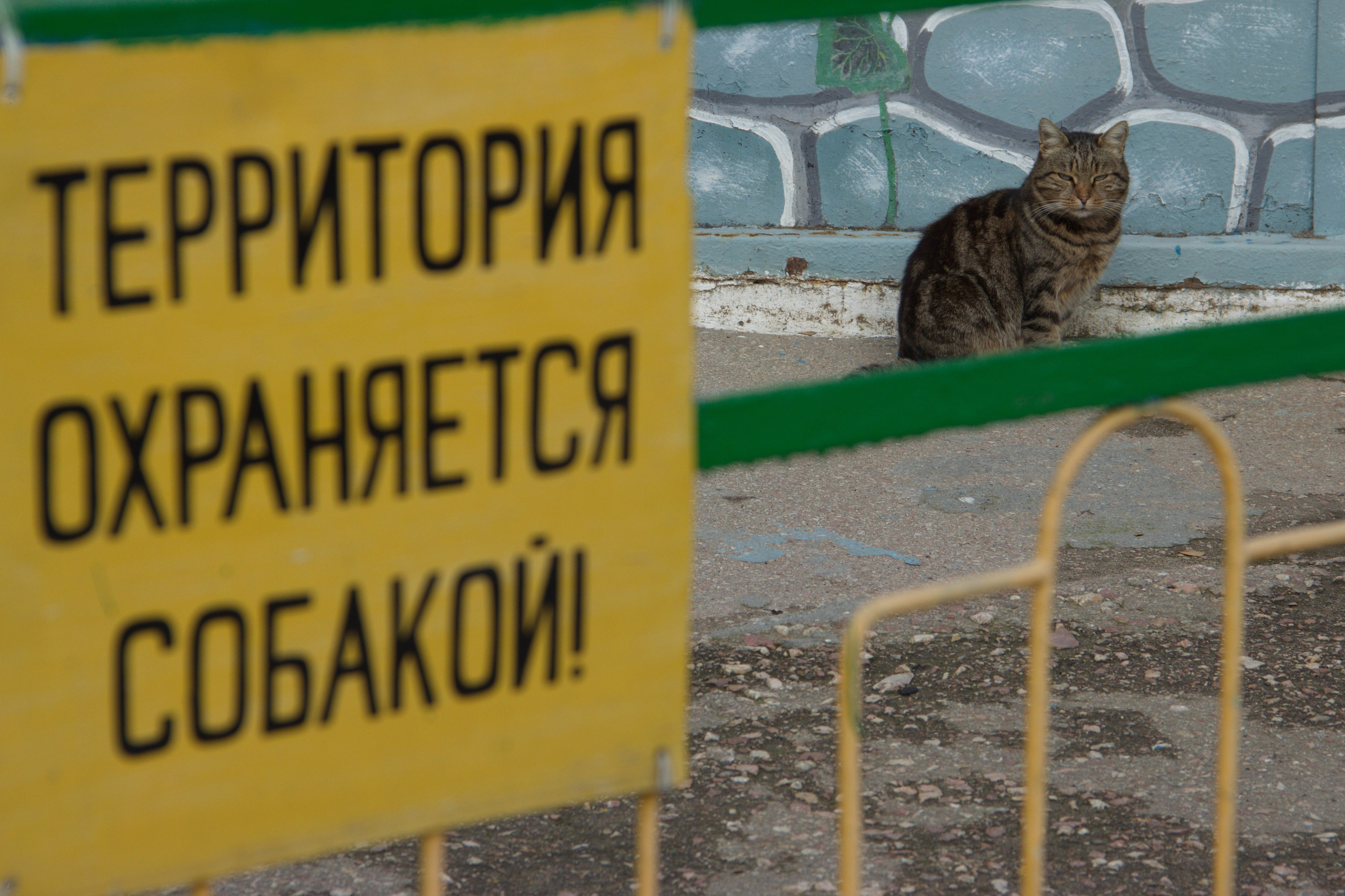 Работы учеников. Фотограф и преподаватель фотографии в Белграде