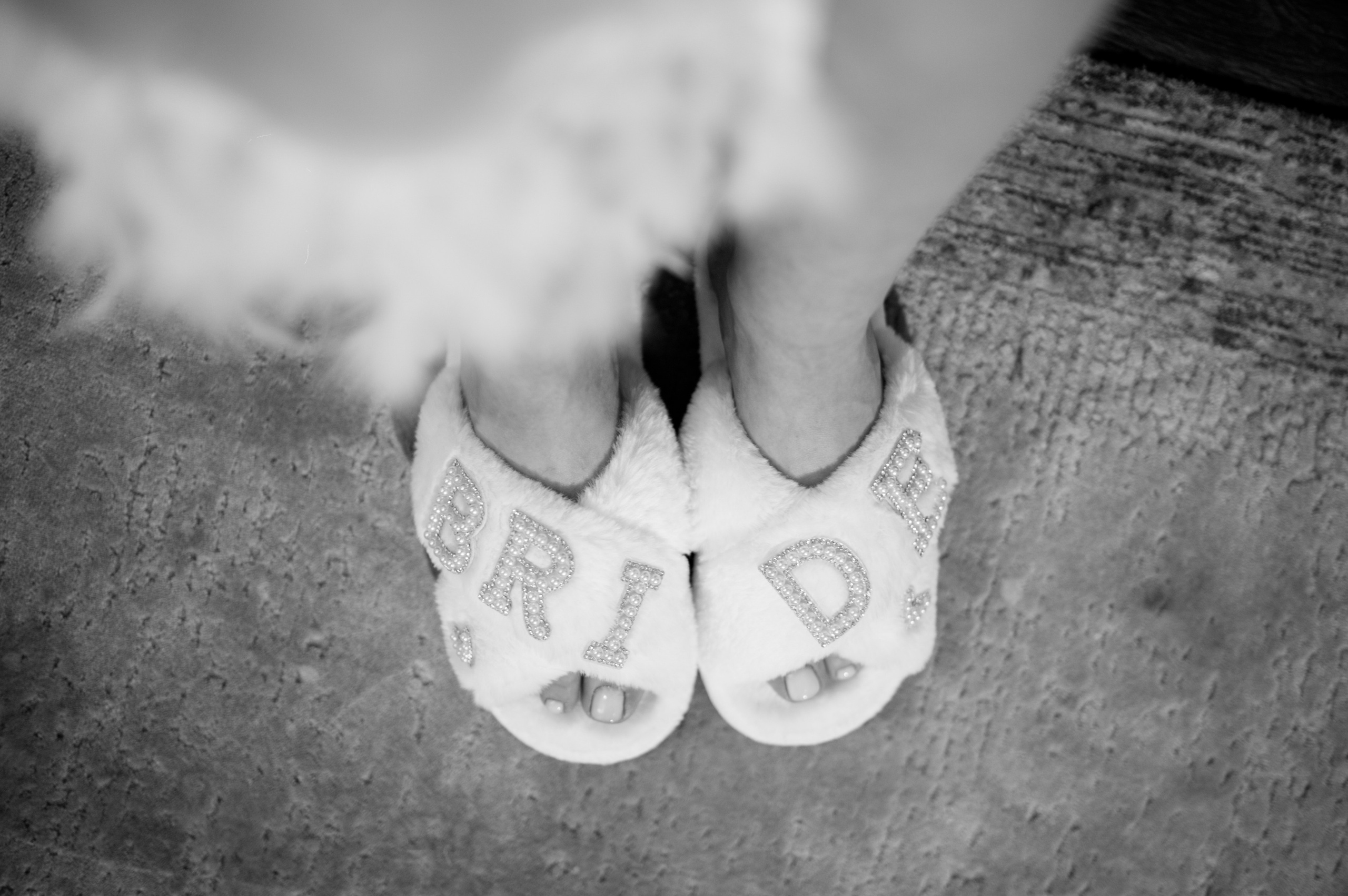 Claudia & Catalin. Mariusclaudiucojocaru.wfolio.pro