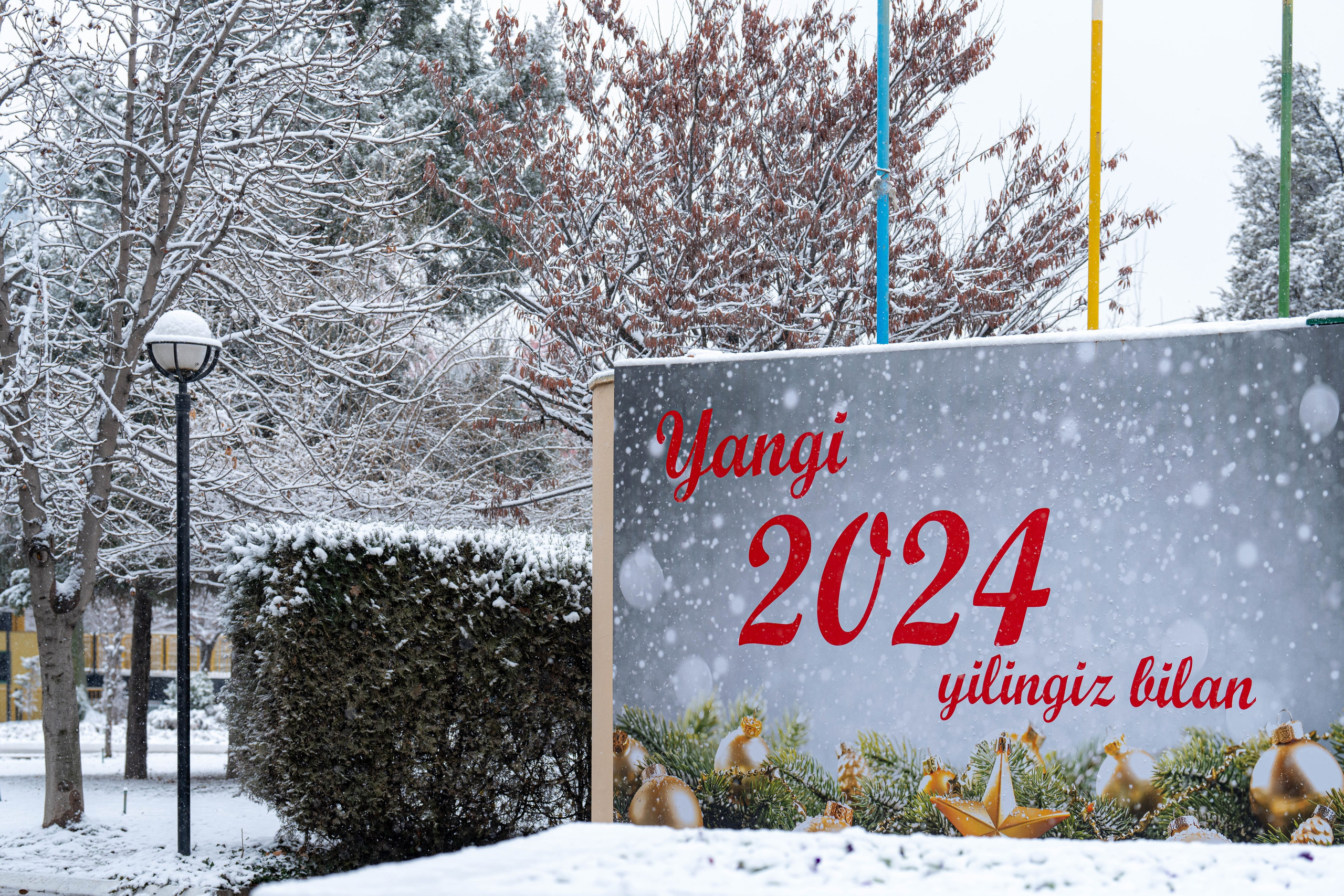 Первый снег в 2024 году. Георгий Намазов | Фотограф в Ташкенте