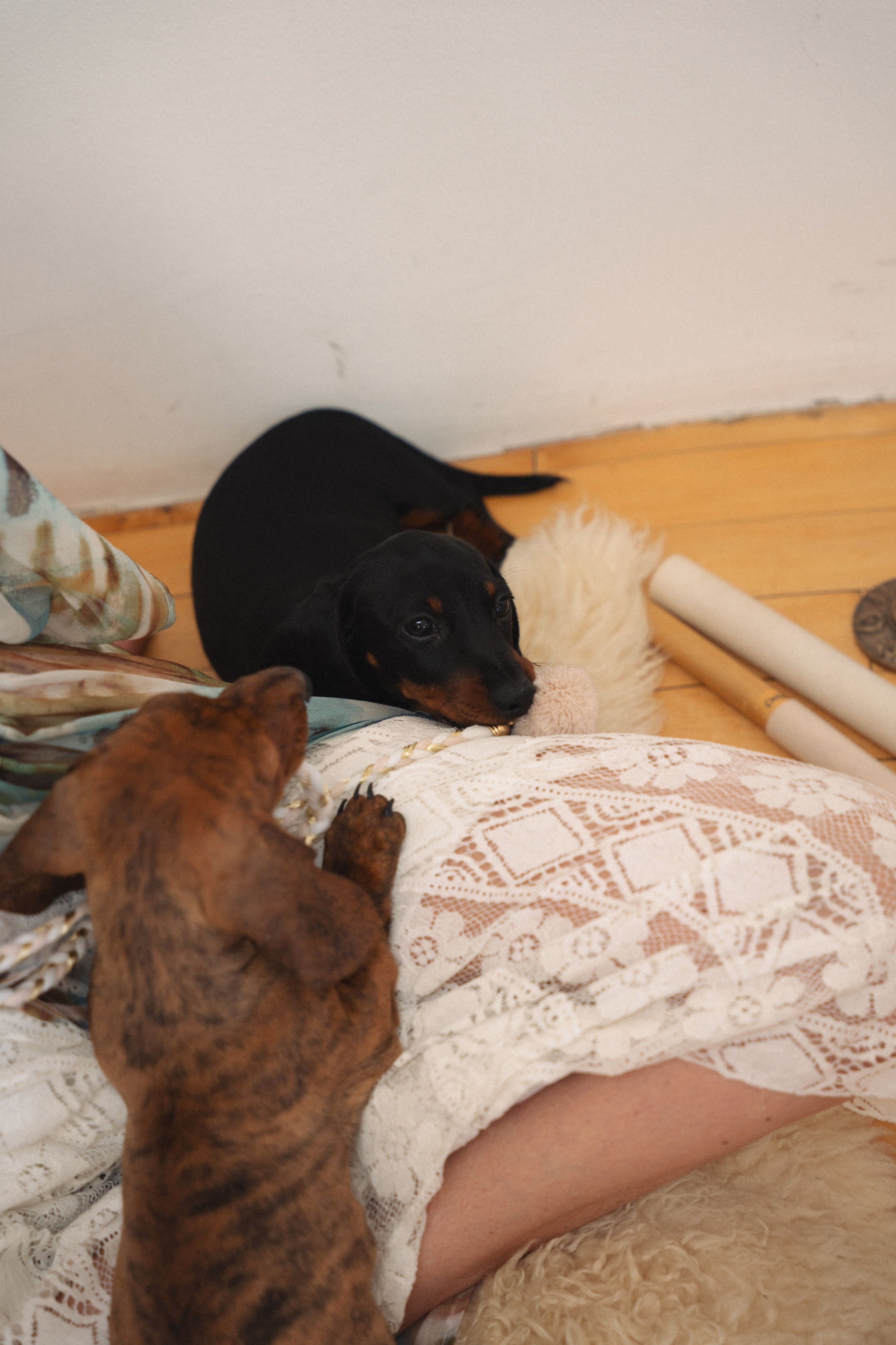 Yoga event in Los Angeles. Event photographer. Events in Los Angeles. Fitness event in Los Angeles. Fitness event photographer