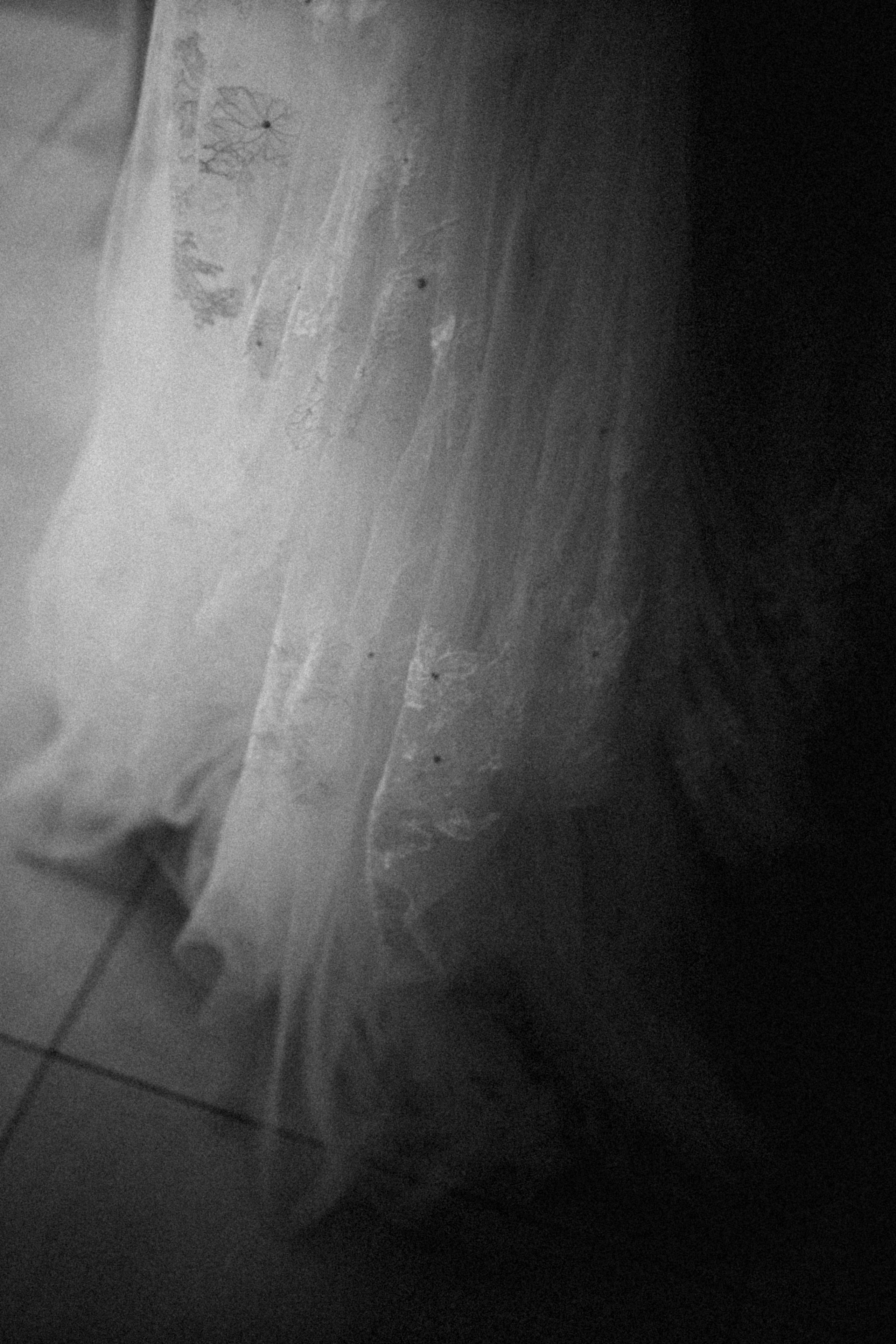 Giselle & Daniel. Congiu Wedding