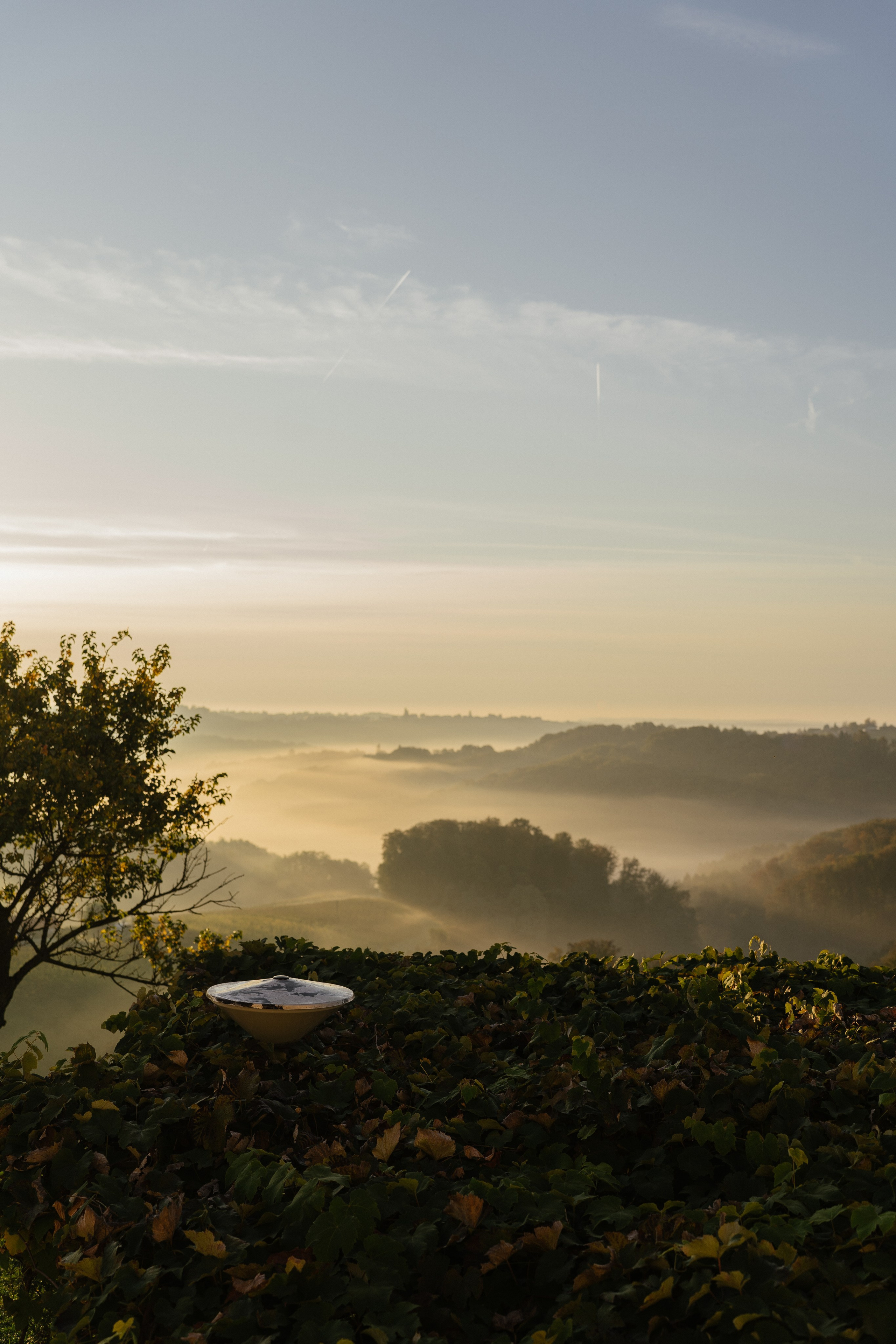 A dreamy scenery. Patricia Morenci — Mountain Adventures for the Wild at Heart