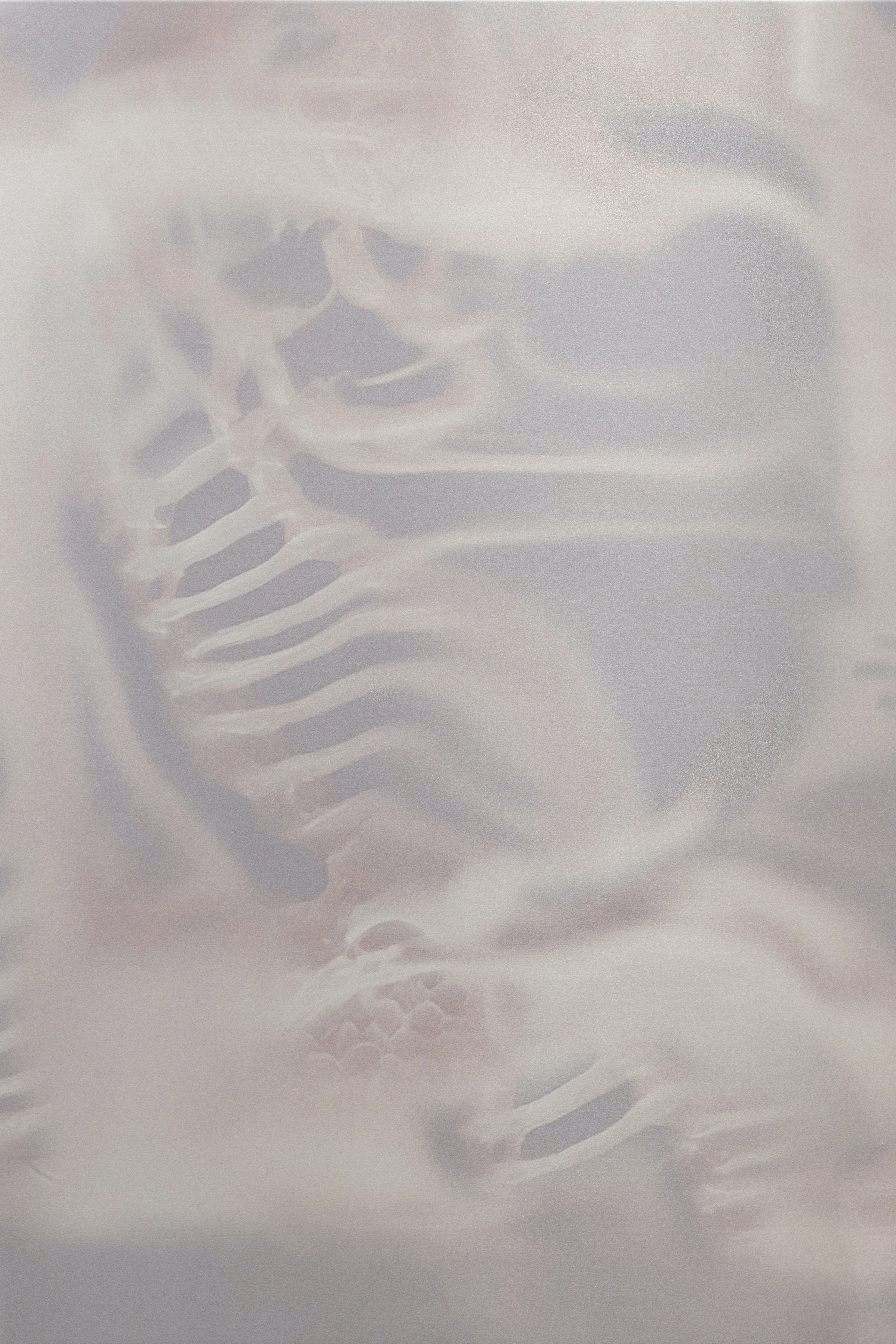 Nika Project Space by Christiane Peshek