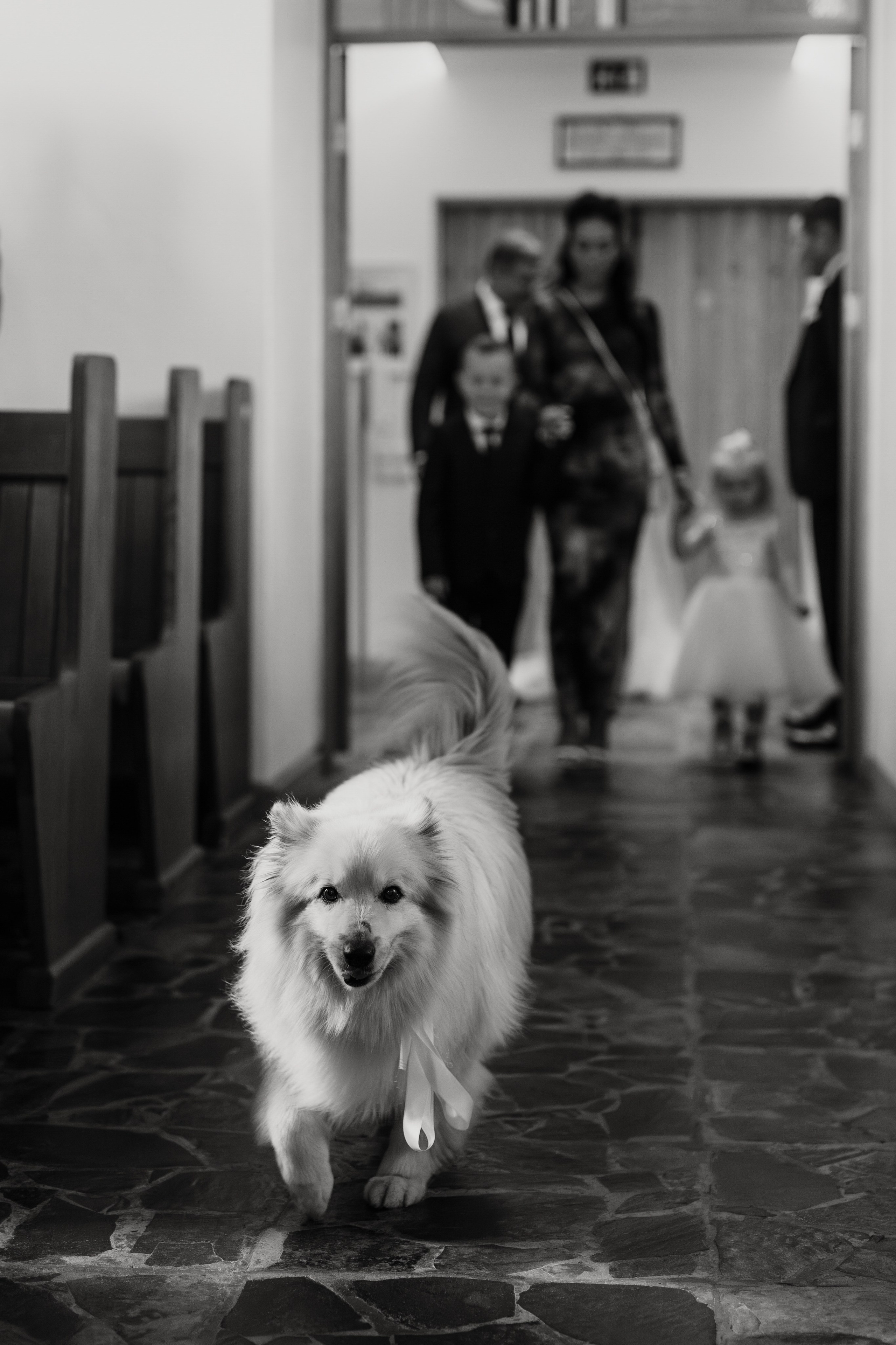 Maria and Matt. Michalina Dzianach Wedding Photographer Iceland