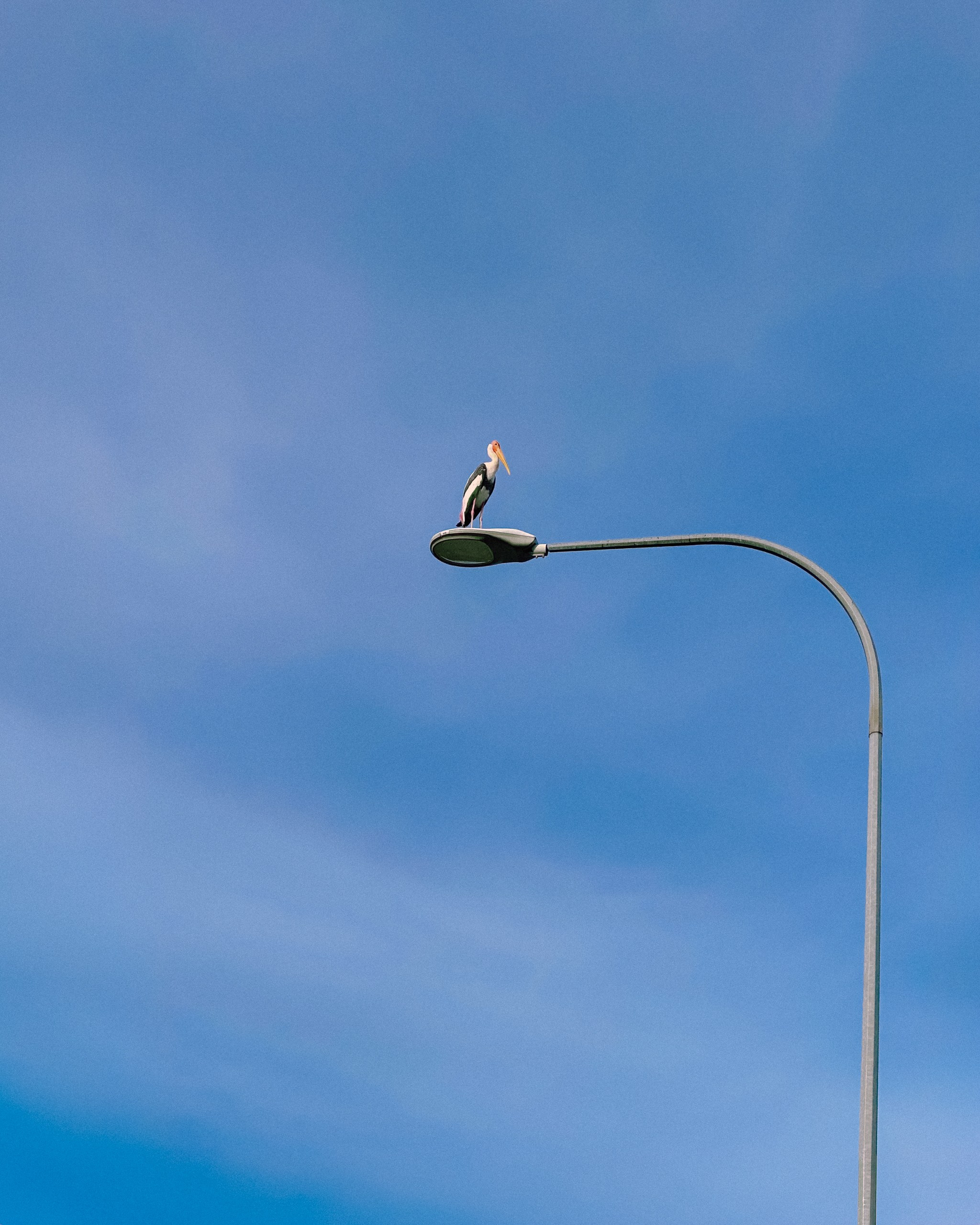 Minimalism