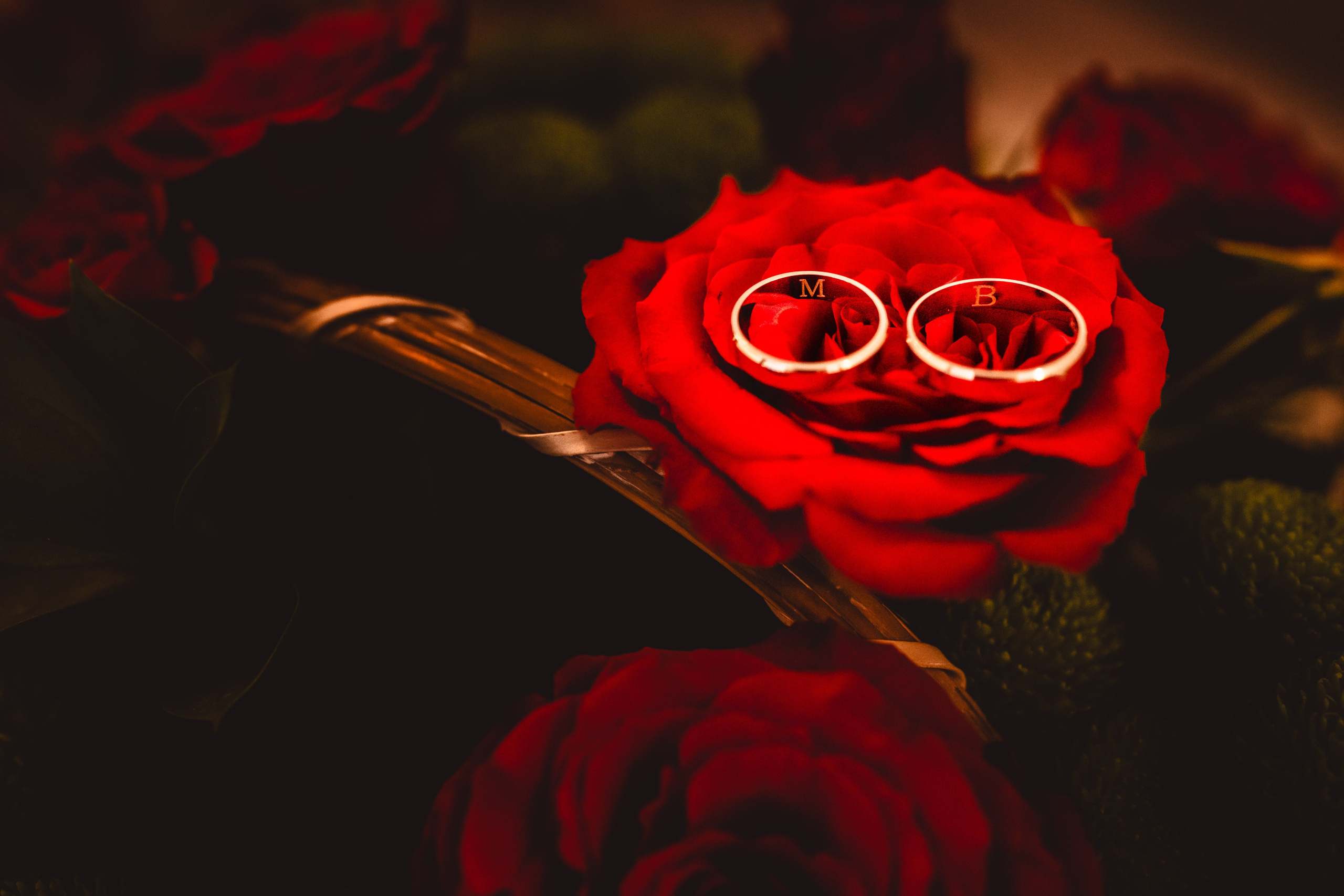 Bianca & Mihai. Liviu Andrei - Fotograf