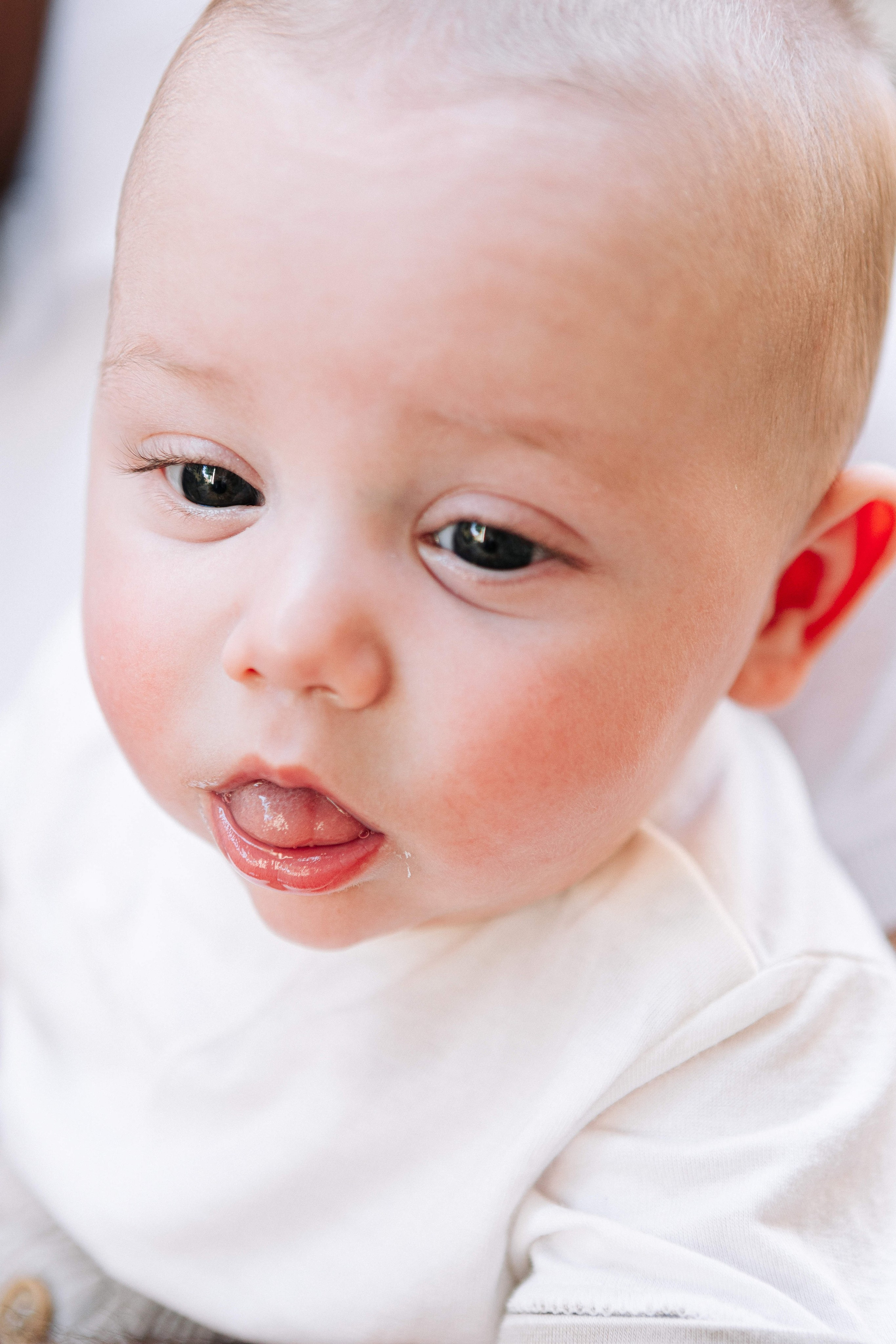 MINI PHOTO SEMMON IN YAMIN MOSHE (MORNING). Https://shi-photo.com/