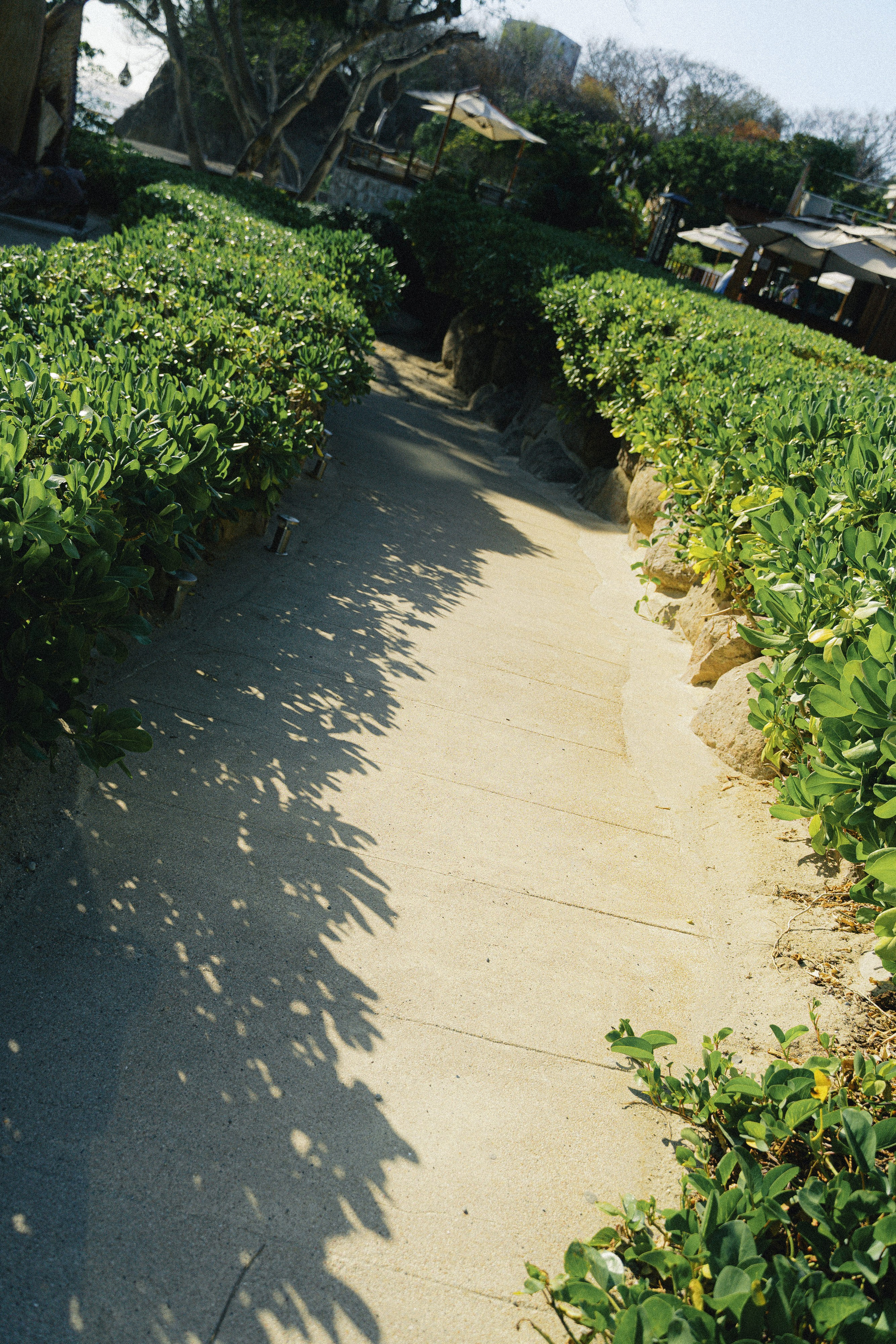 Wedding in Dreams Bahia Mita, Puerto Vallarta. Sayulita Wedding Photographer, Puerto Vallarta, Cabo