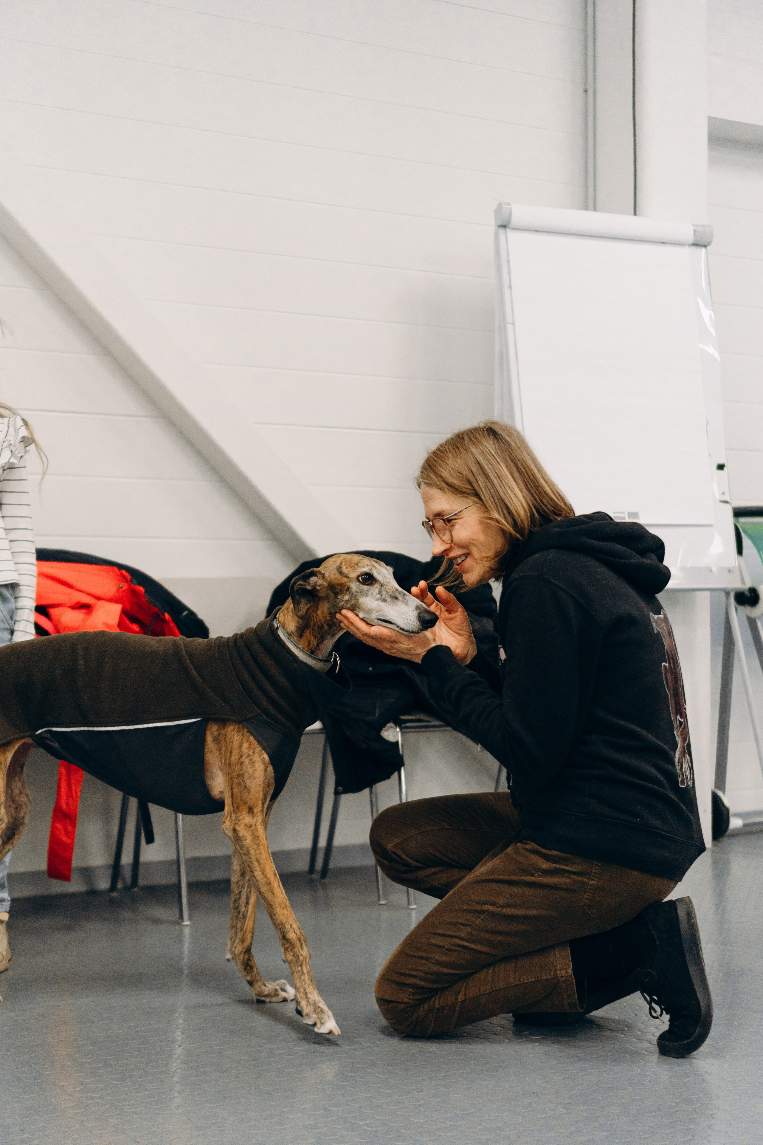 GalgoTreff / PetCity Rannamõisa, 13 apr. 2025. Kat Laisaar — Pet photographer in Tallinn