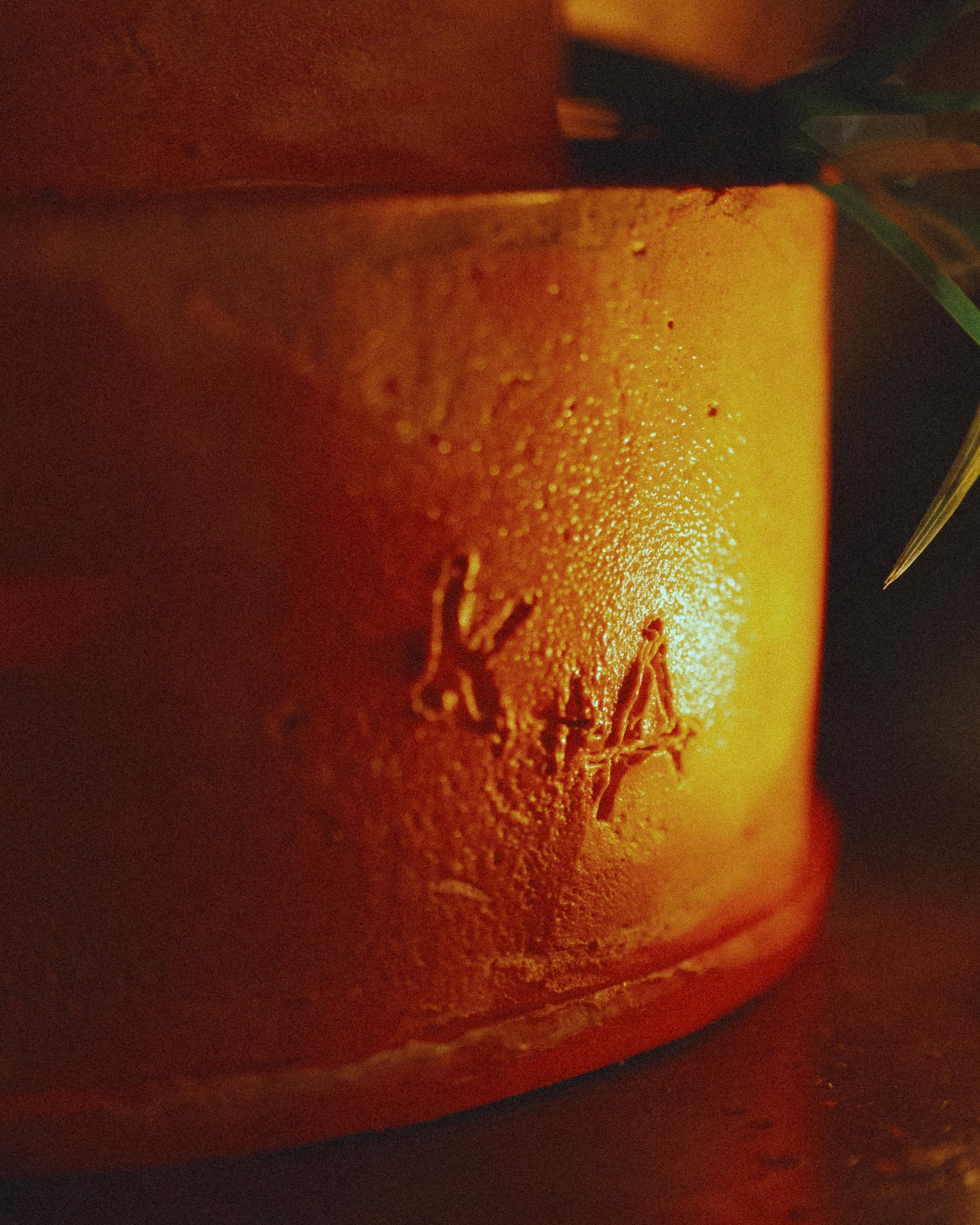 Wedding in Palo Maria. Sayulita Wedding Photographer, Puerto Vallarta, Cabo