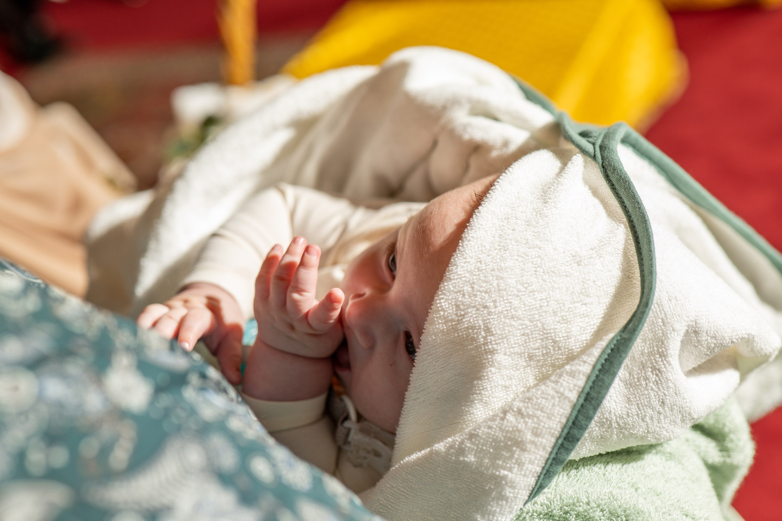 Kristian. Fotograful și Cameramanul familiei dvs în Franța Paul Photographer