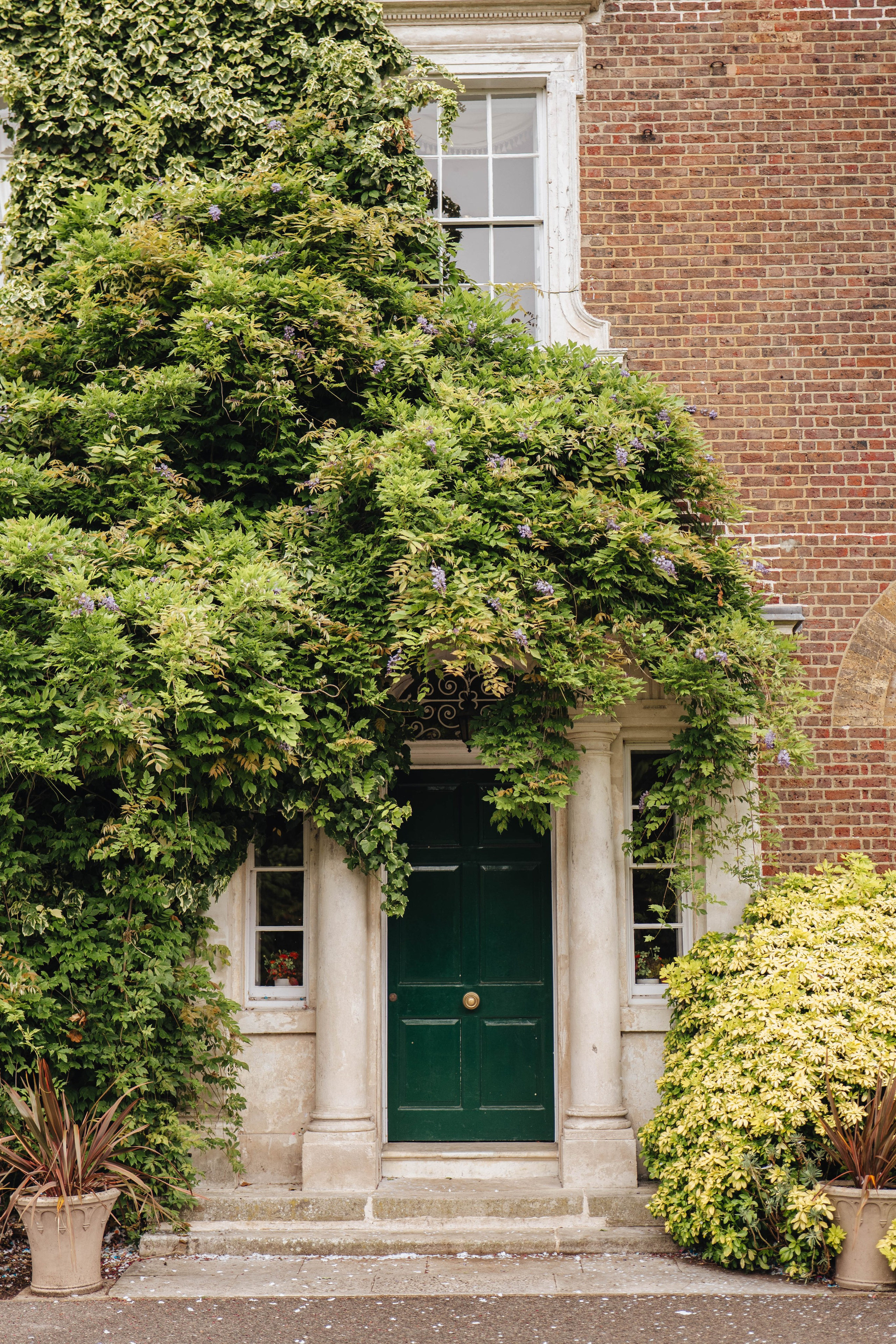 green door covered with green plants