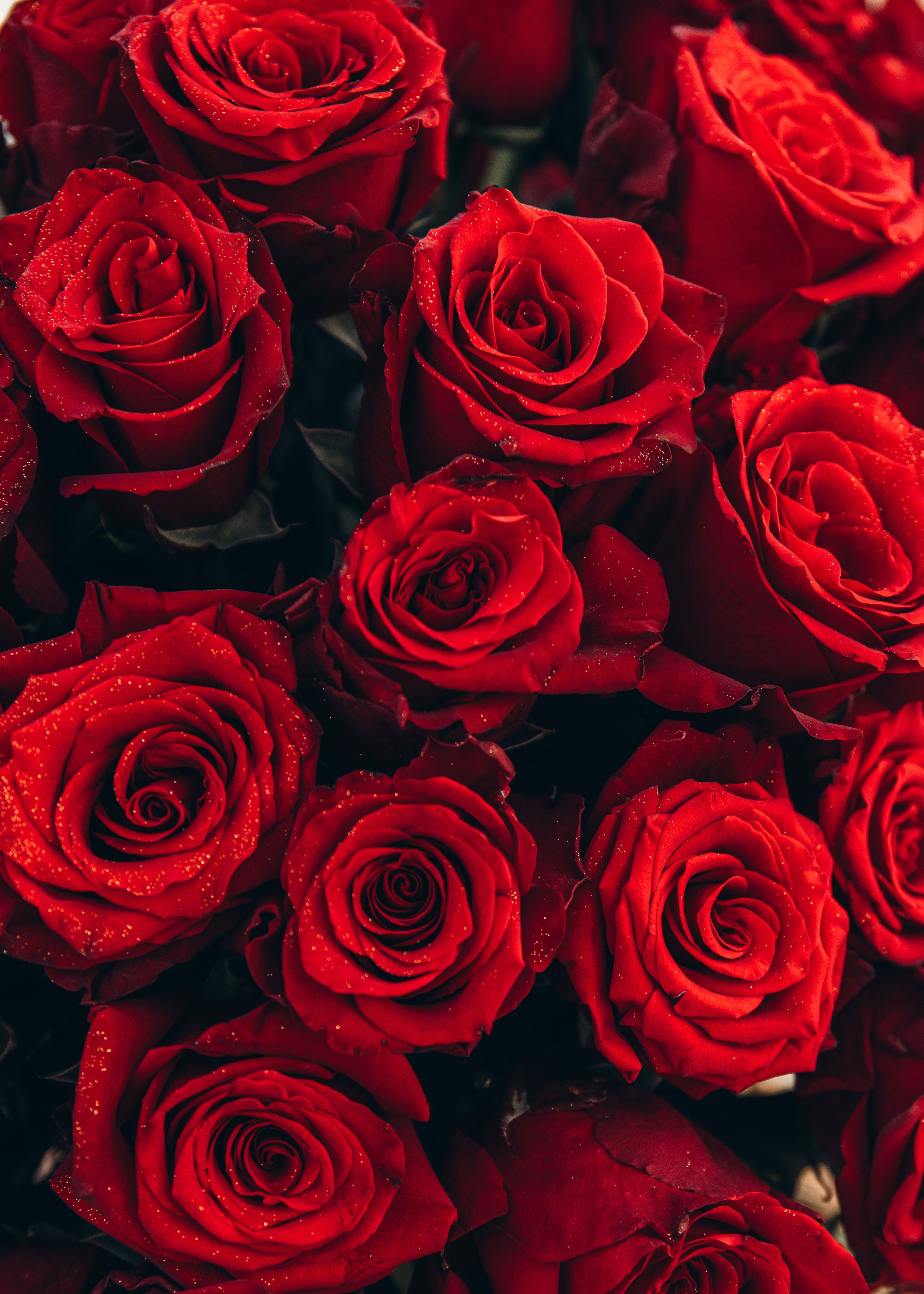 Pedido de Casamento. Luxury Wedding Photography & Cinematic Films | Portugal & Destination Weddings | Ricardo & Mary Pictures