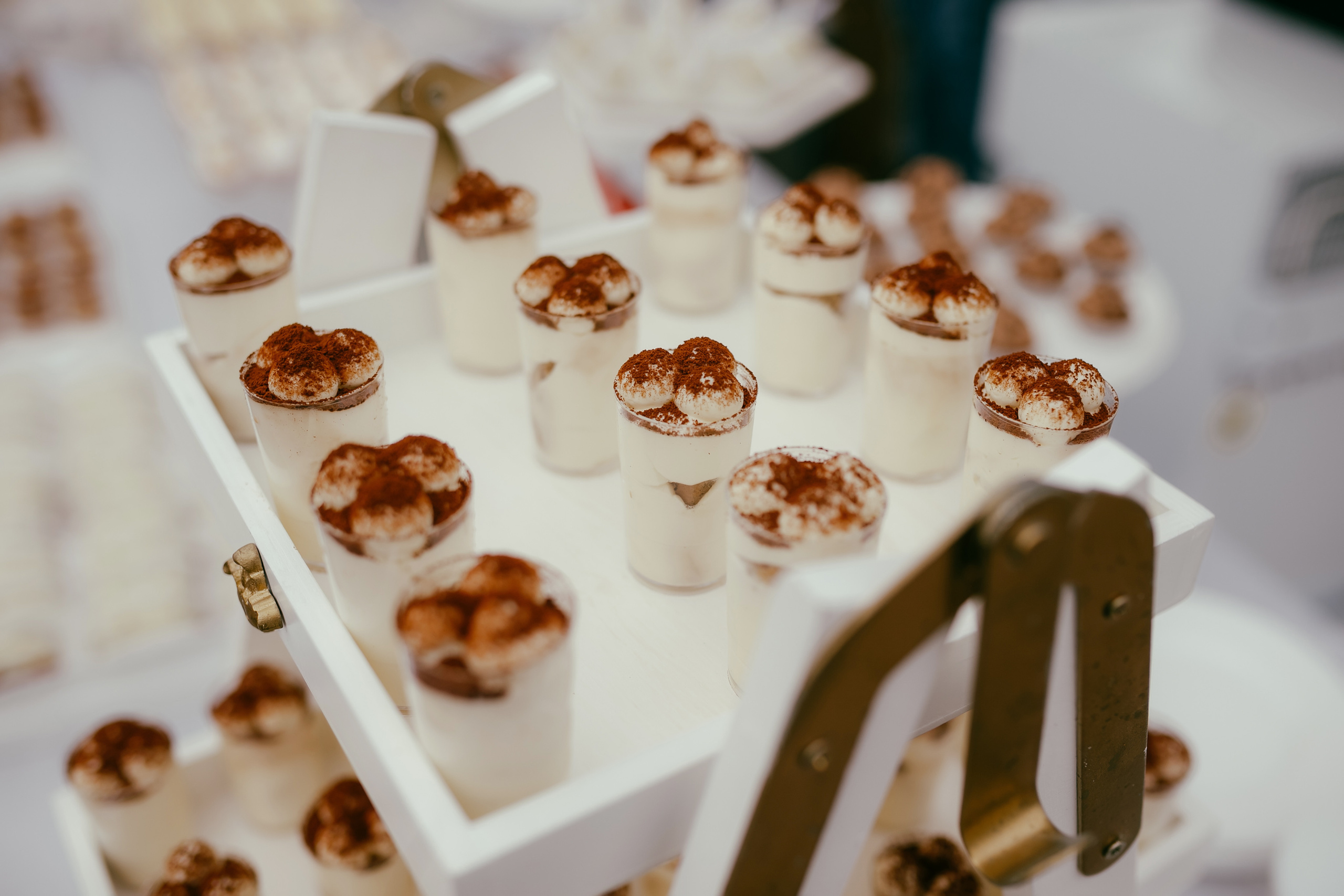 Tudor & Liliana. ProWed — Foto Video Moldova și România