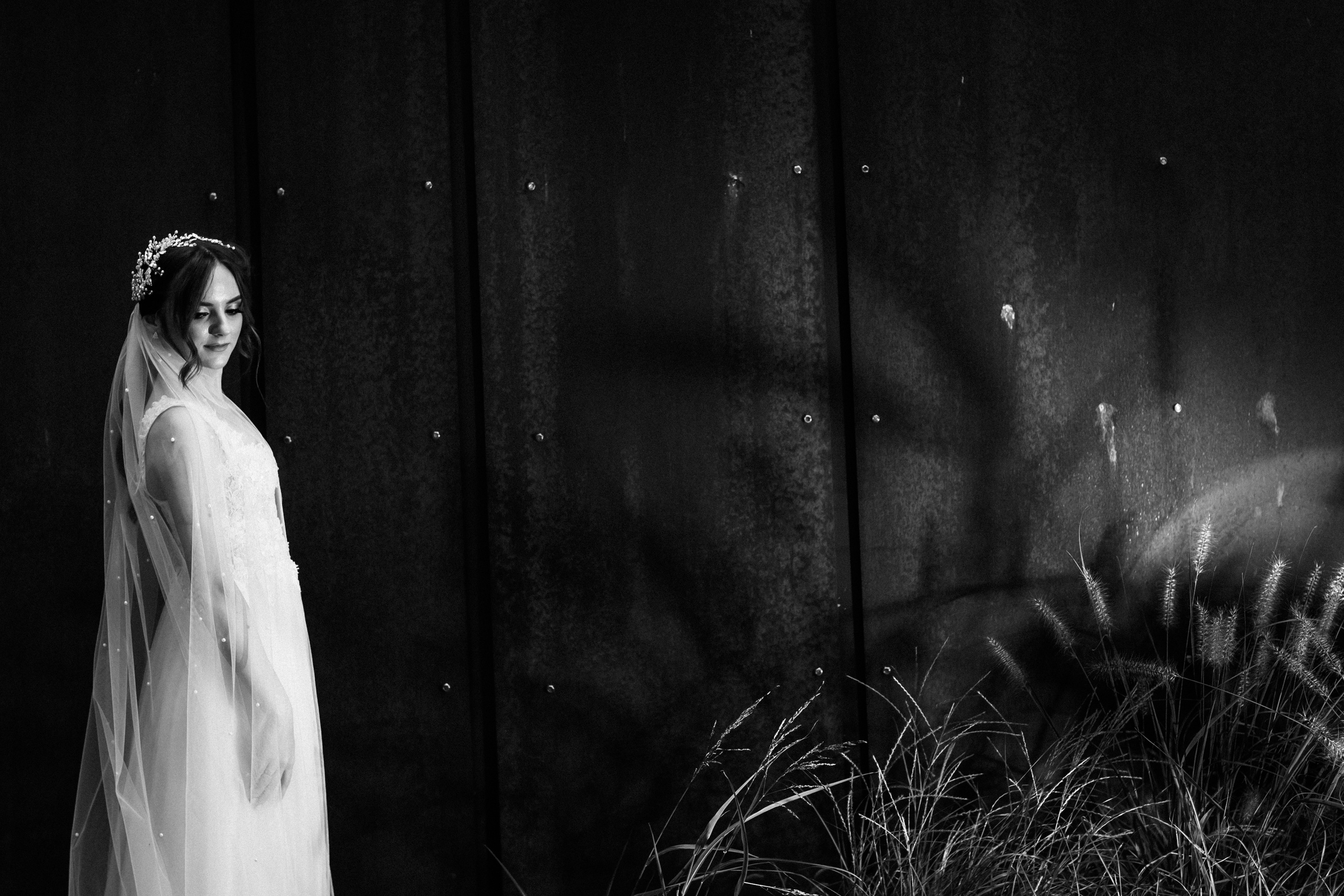 Radu & Catalina. ProWed — Foto Video Moldova și România