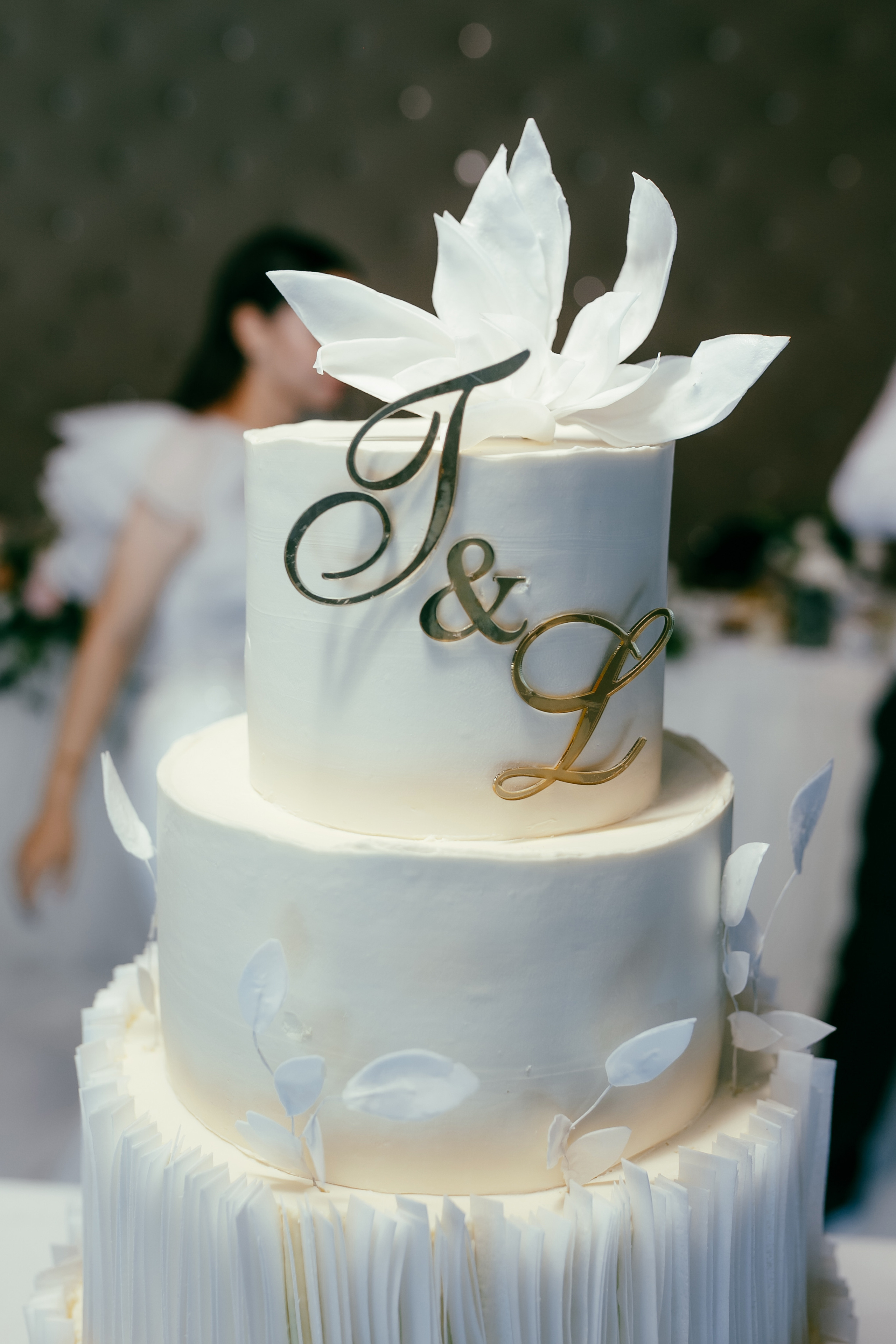 Tudor & Liliana. ProWed — Foto Video Moldova și România