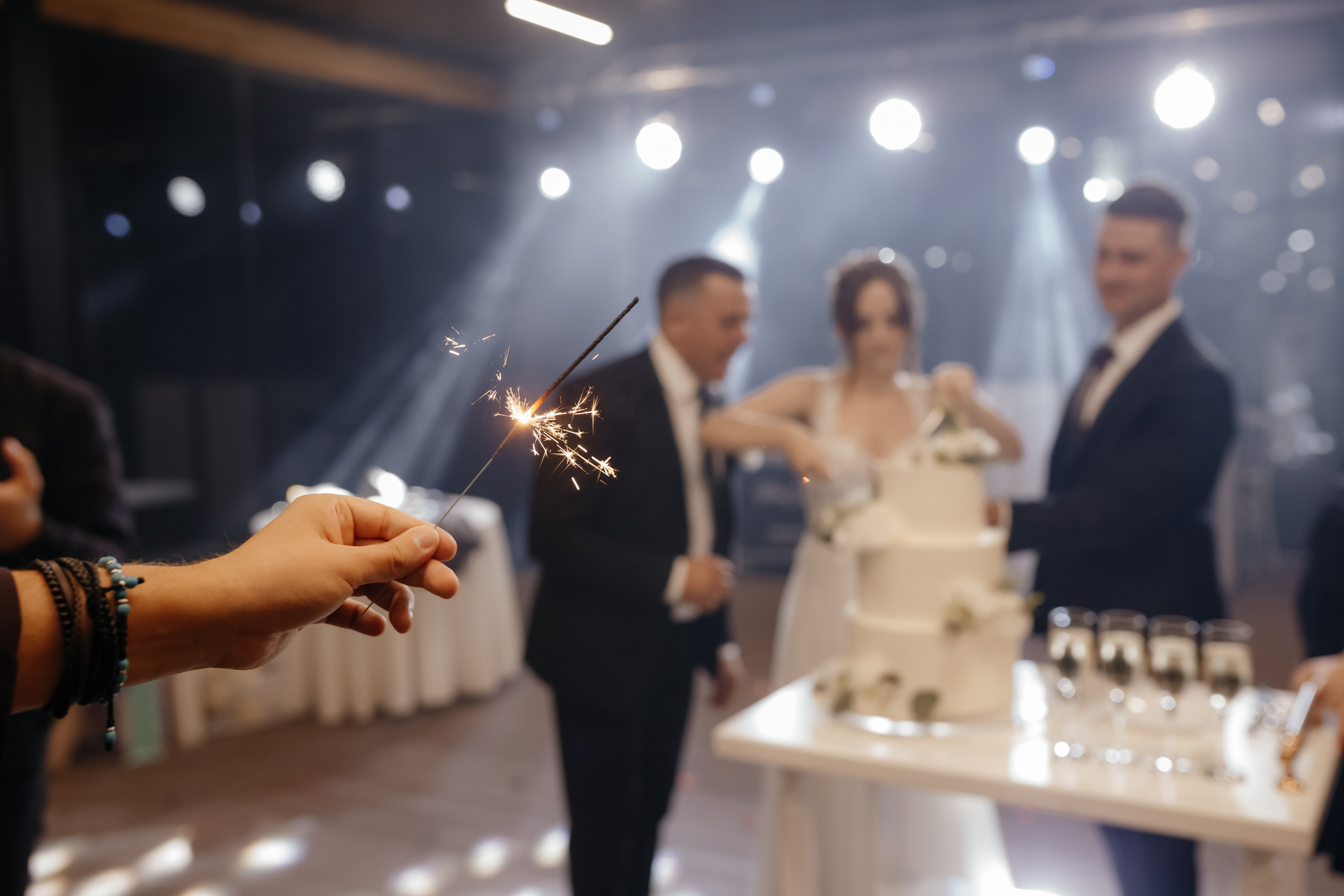 Radu & Catalina. ProWed — Foto Video Moldova și România