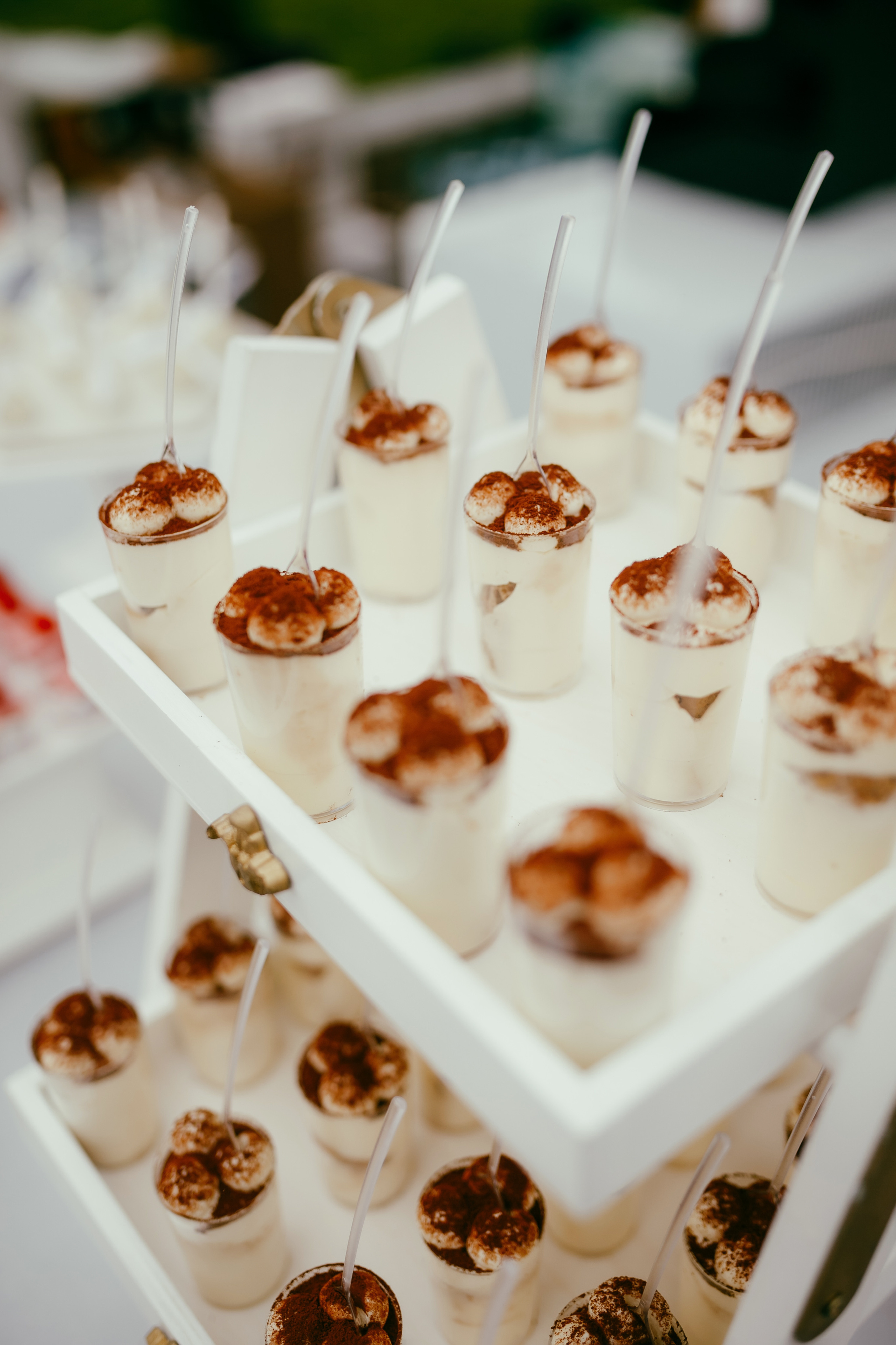 Tudor & Liliana. ProWed — Foto Video Moldova și România