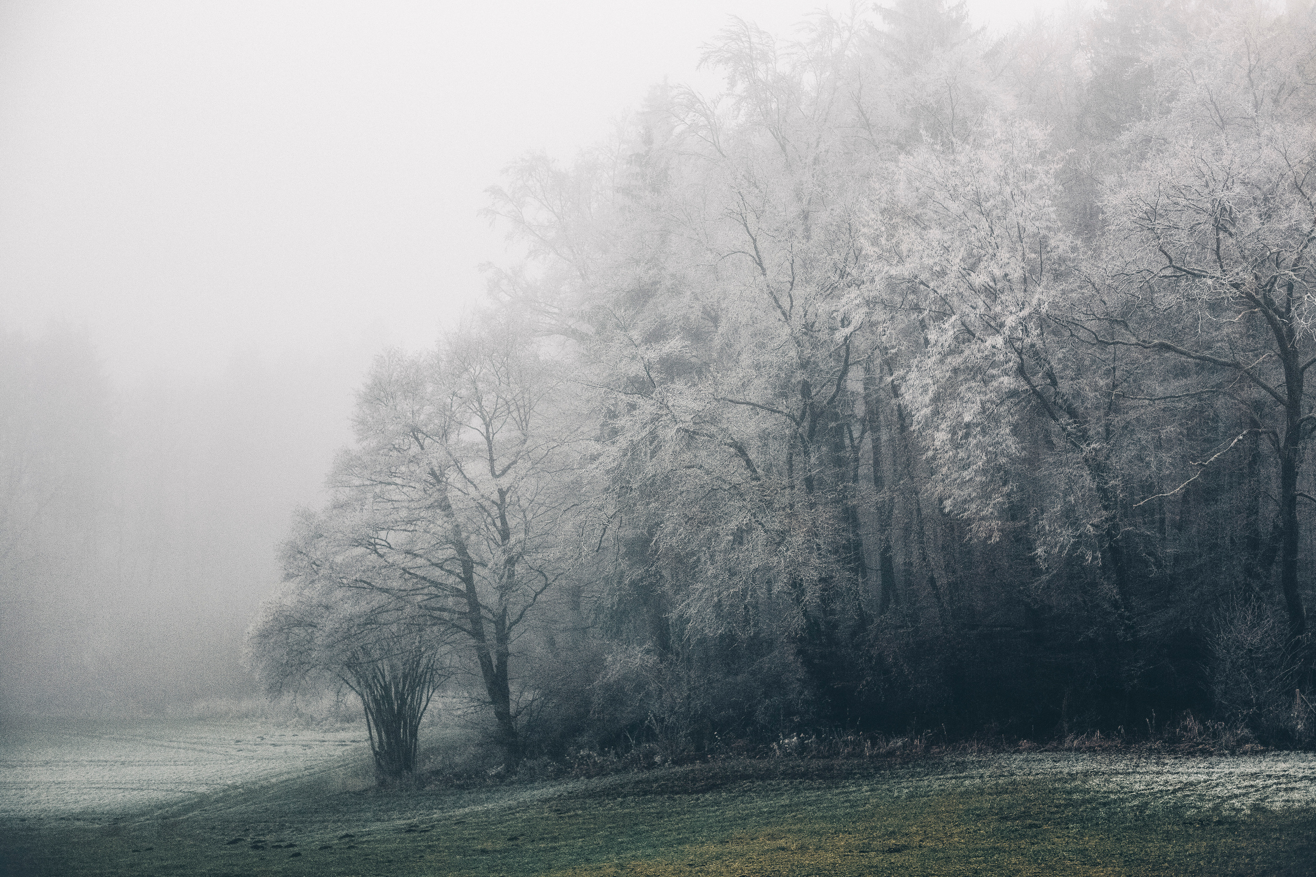 My travels. Alexandra Grevtseva — Art-photographer in Germany