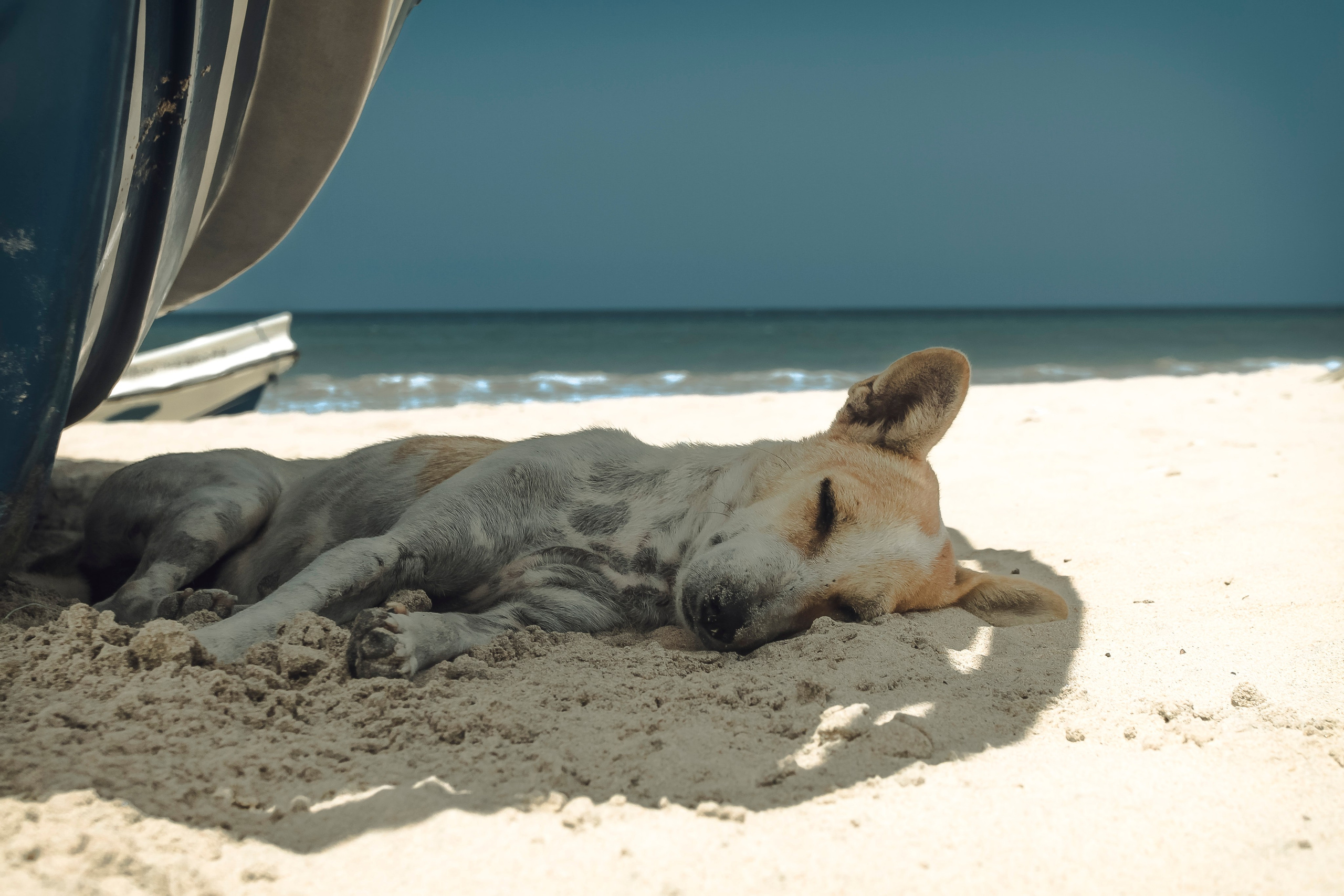 Sri Lanka. Art Photographer