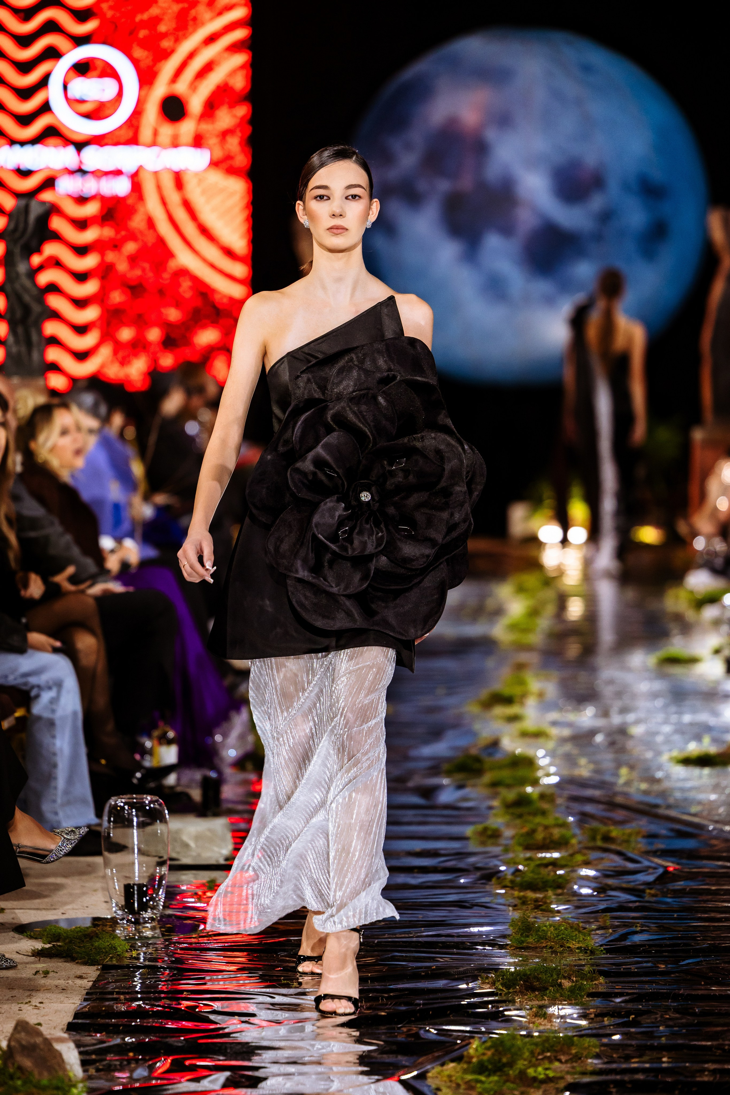 Prive. Marius Ciocan