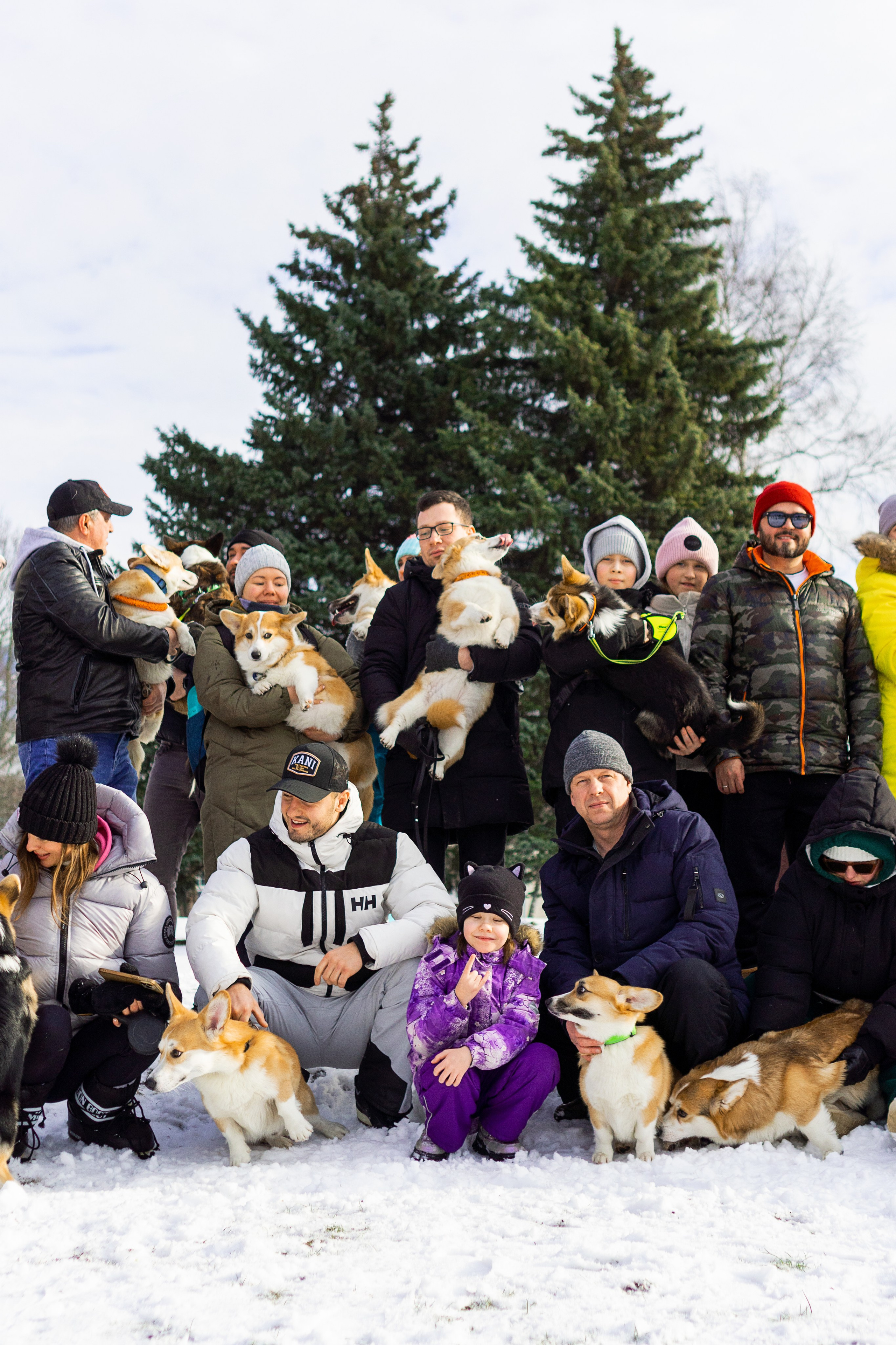 Corgi party, 23 feb. 2025. Kat Laisaar — Pet photographer in Tallinn