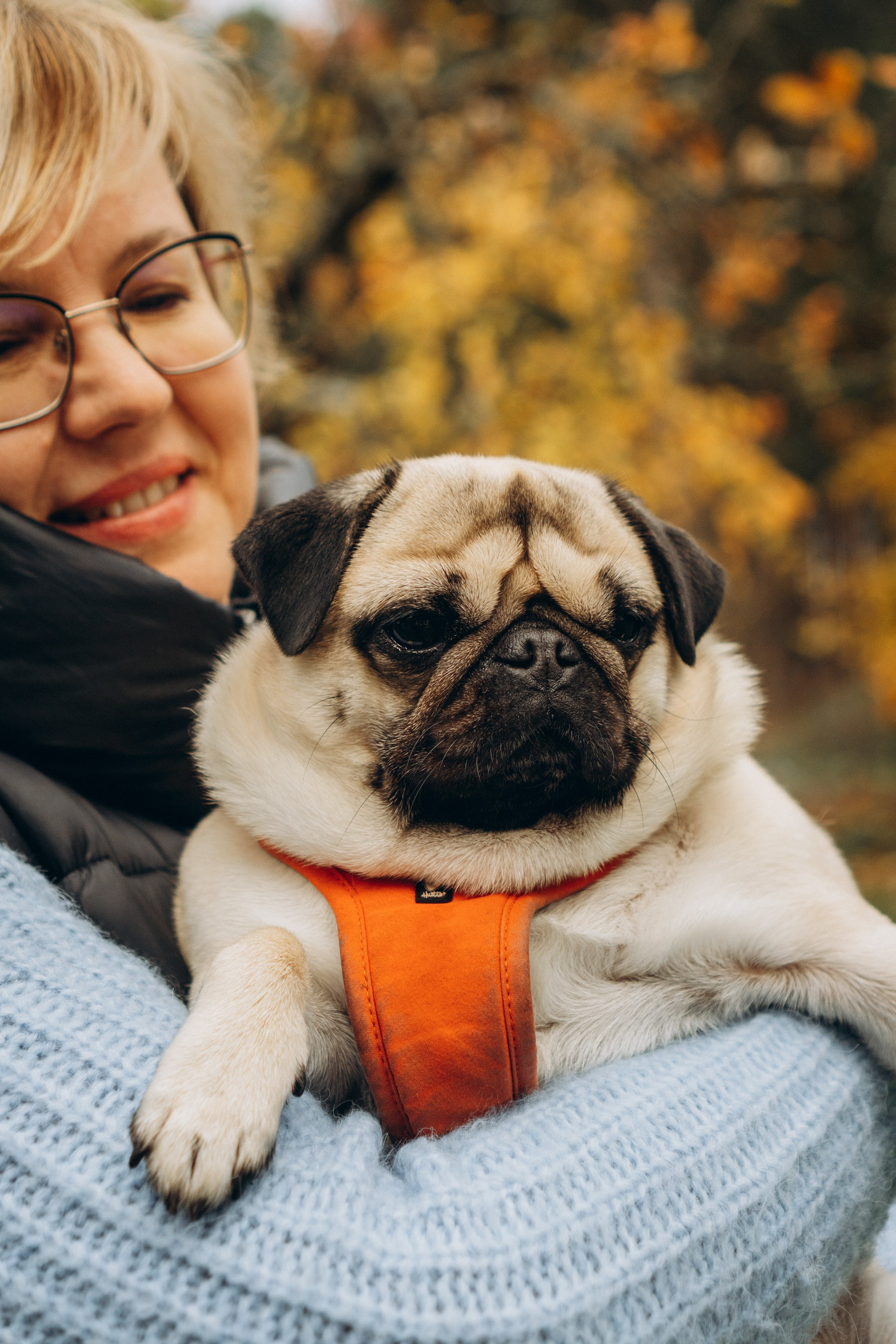 Jelena and her Sandy, Pug and Katja and her Safiir, Cardigan Welsh Corgi. Kat Laisaar — Pet photographer in Tallinn