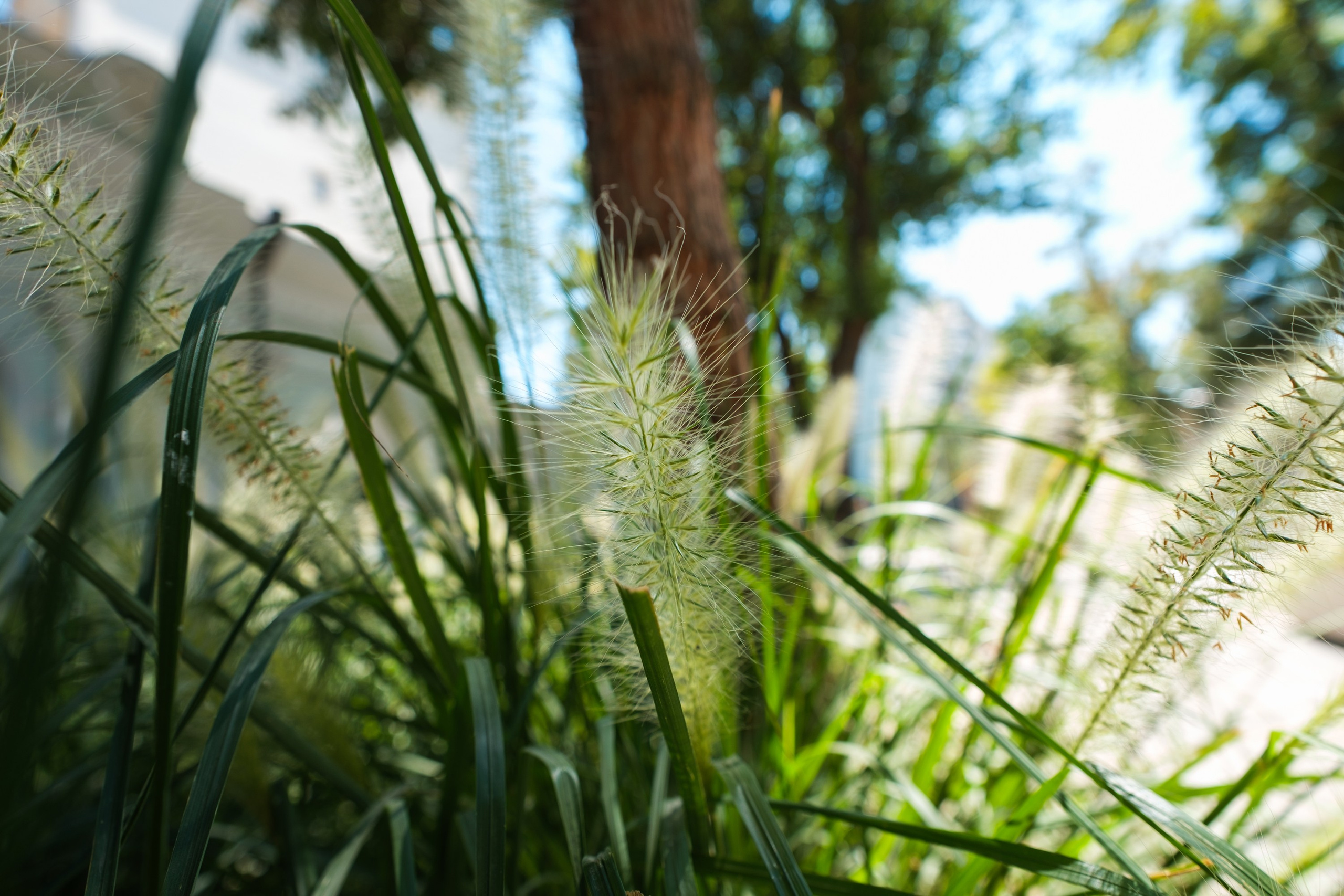 Sigma 12 mm F/1.4 DC DN Contemporary. Фотограф Григорий Кравец